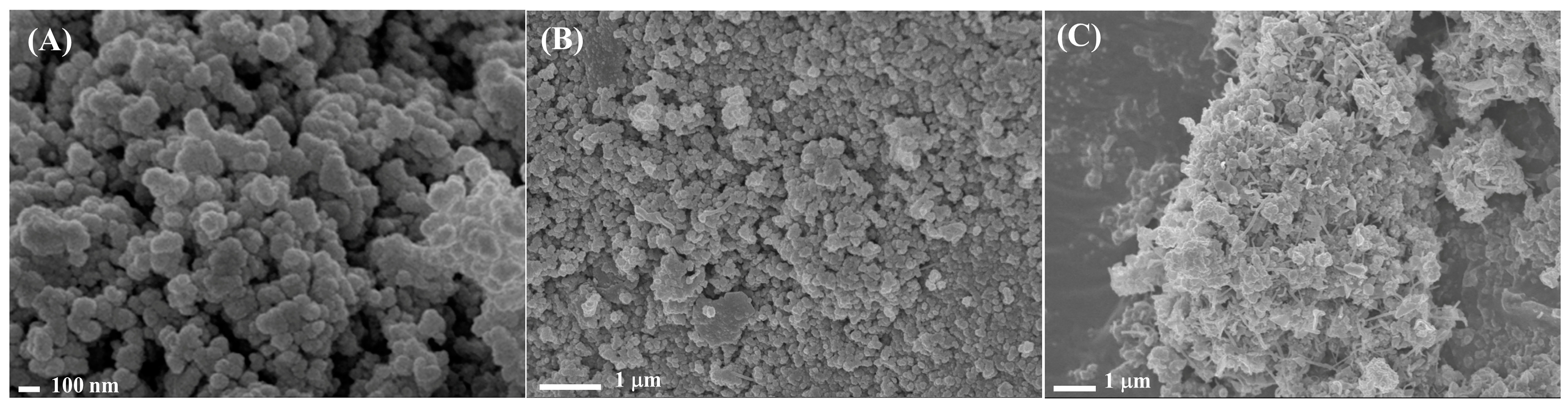 Carbon 09 00121 g001 Carbon 09 00121 g001