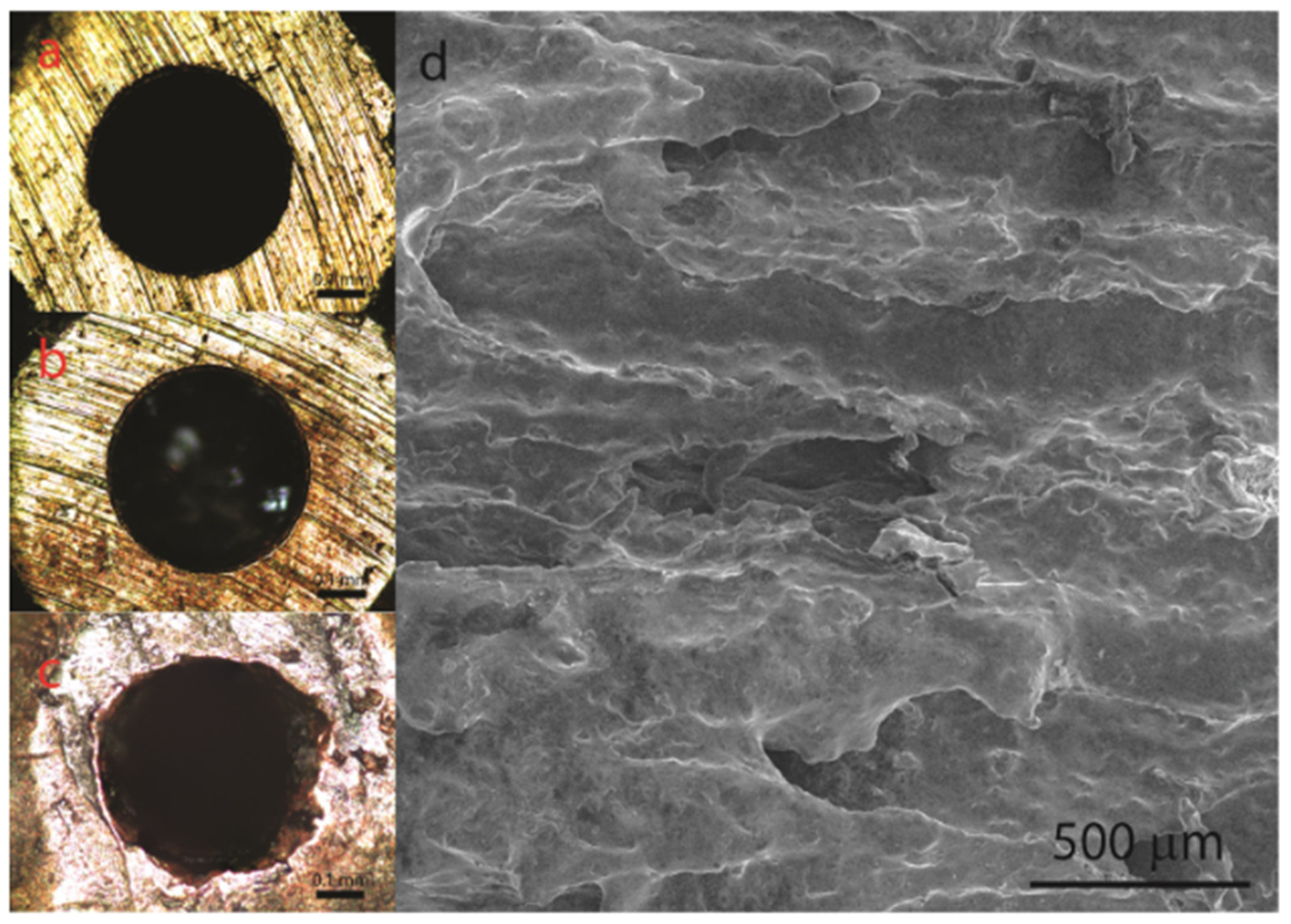 Carbon 10 00029 g019