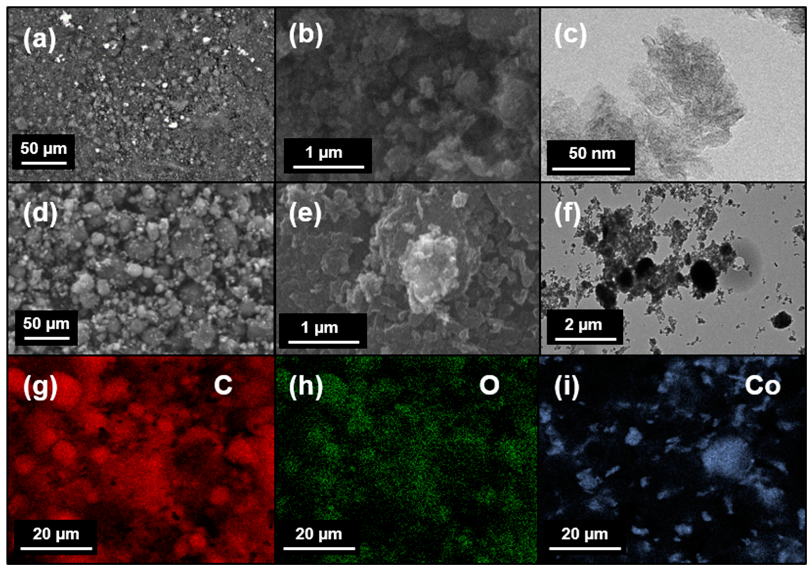 Carbon 10 00031 g001