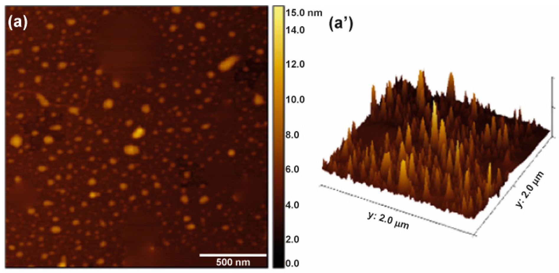 Carbon 10 00035 g005