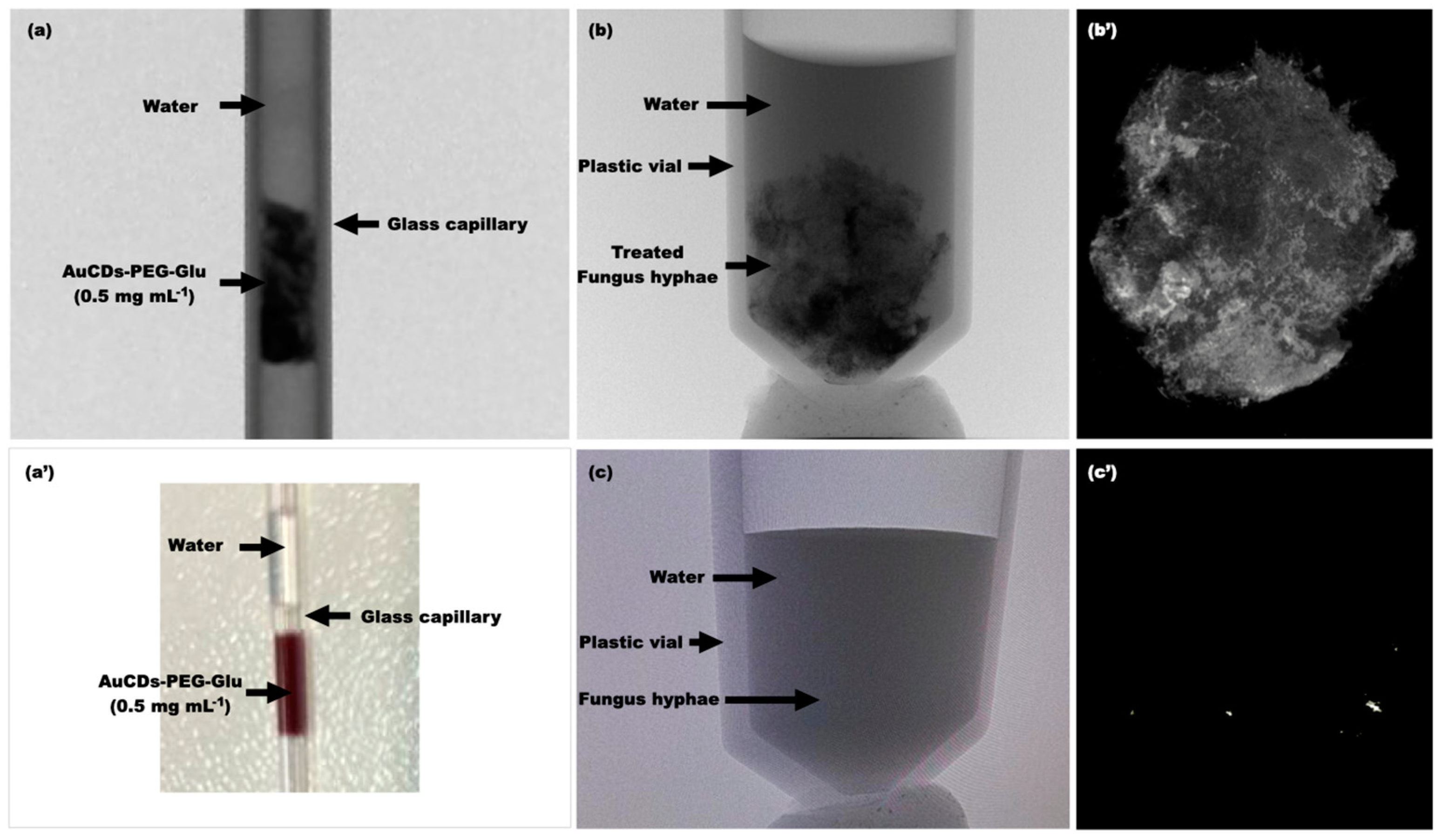 Carbon 10 00035 g007