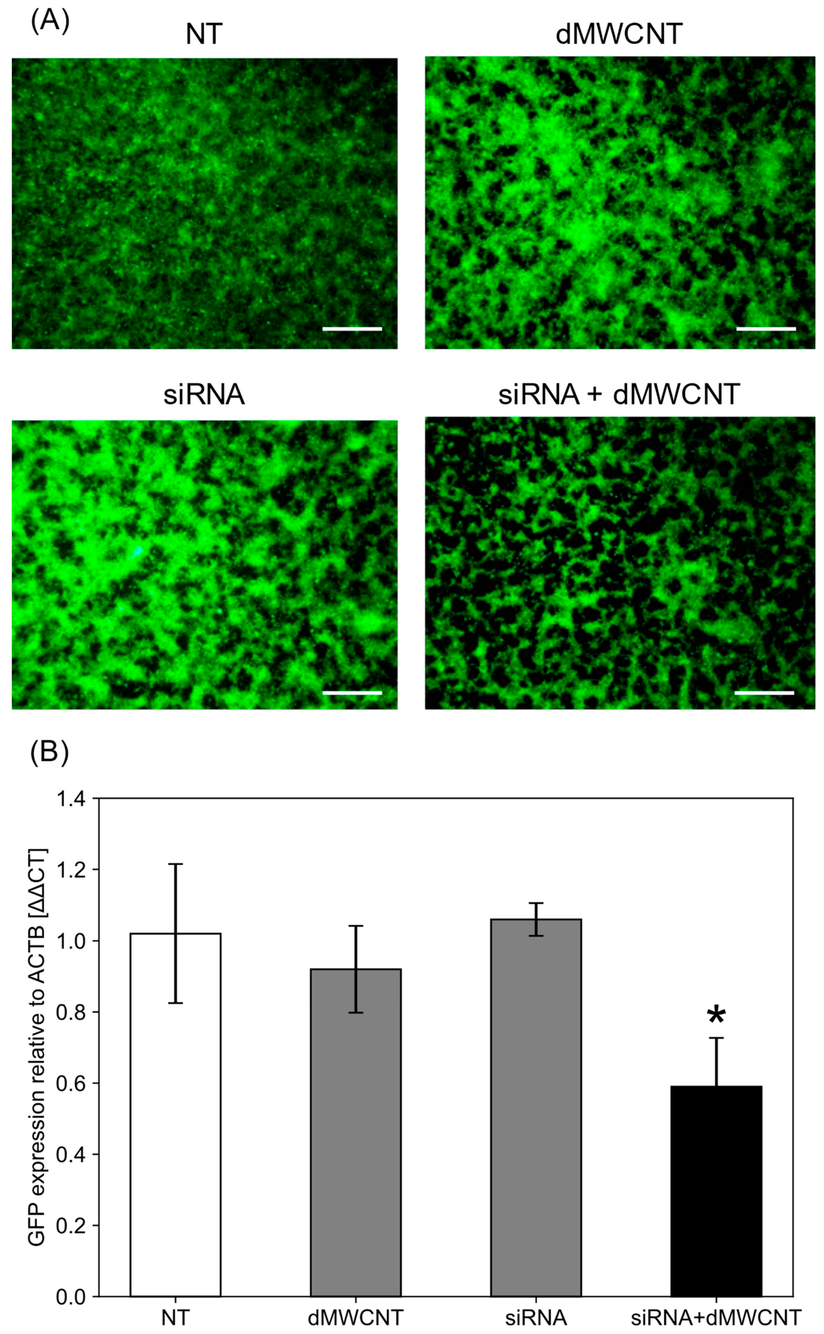 Carbon 10 00037 g005