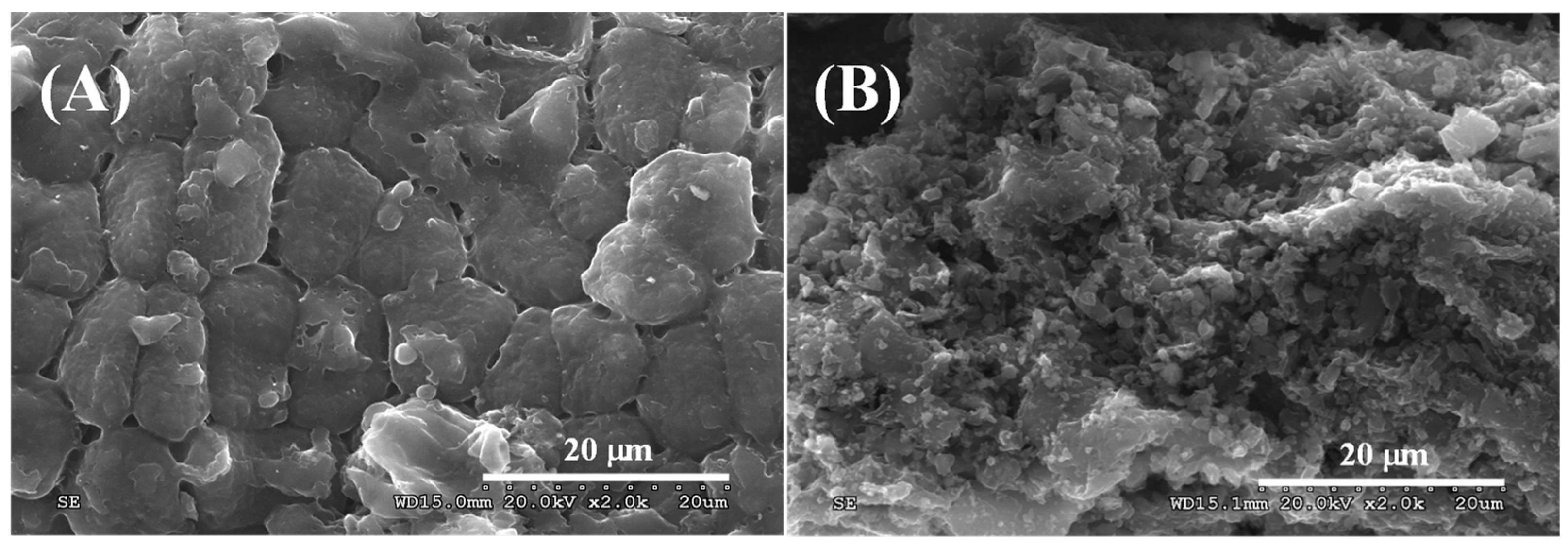 Carbon 10 00053 g007