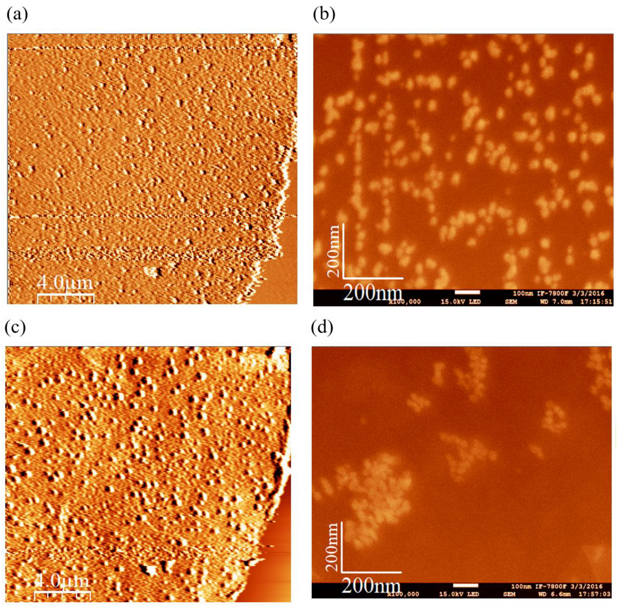 Carbon 10 00055 g010 Carbon 10 00055 g010