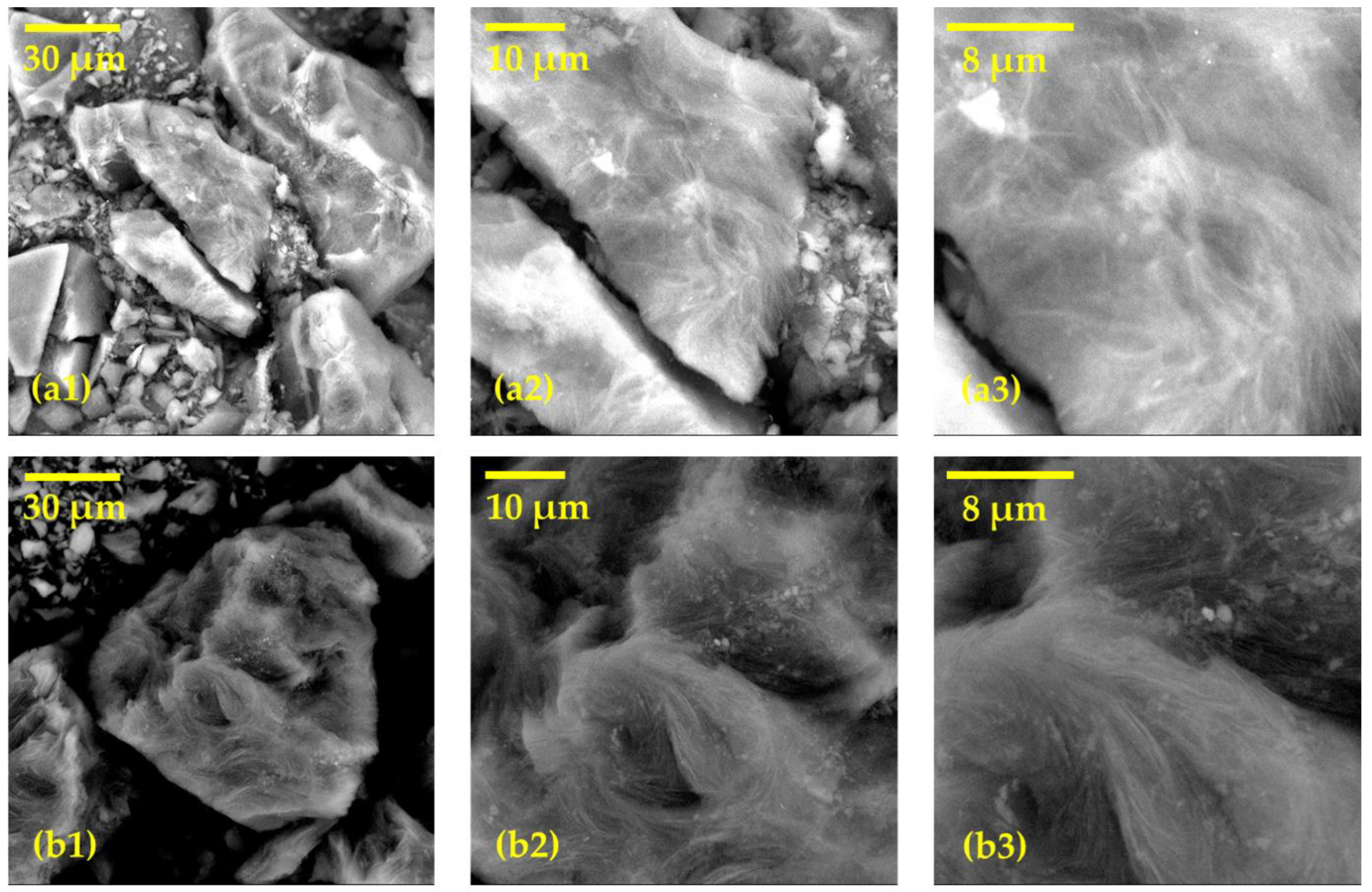 Carbon 10 00056 g001 Carbon 10 00056 g001