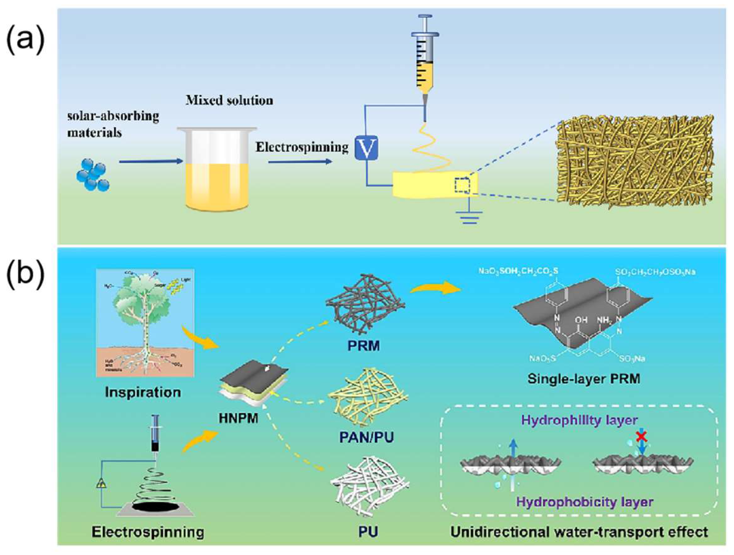 Carbon 10 00086 g003