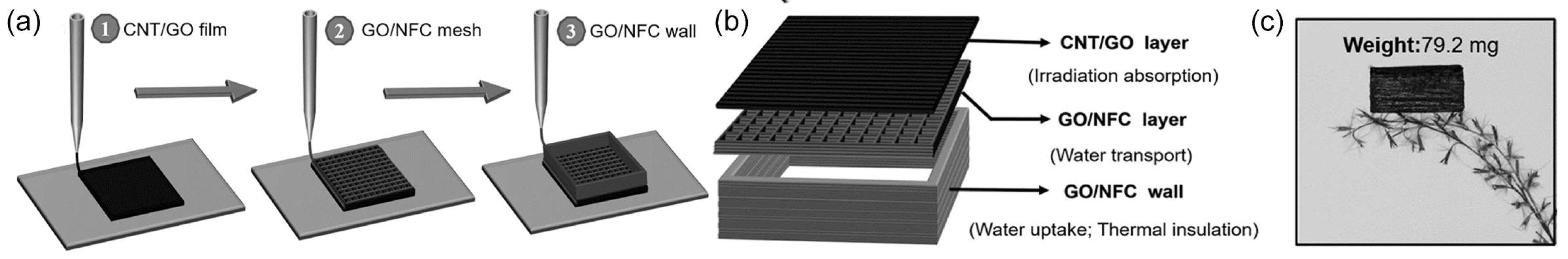 Carbon 10 00086 g011