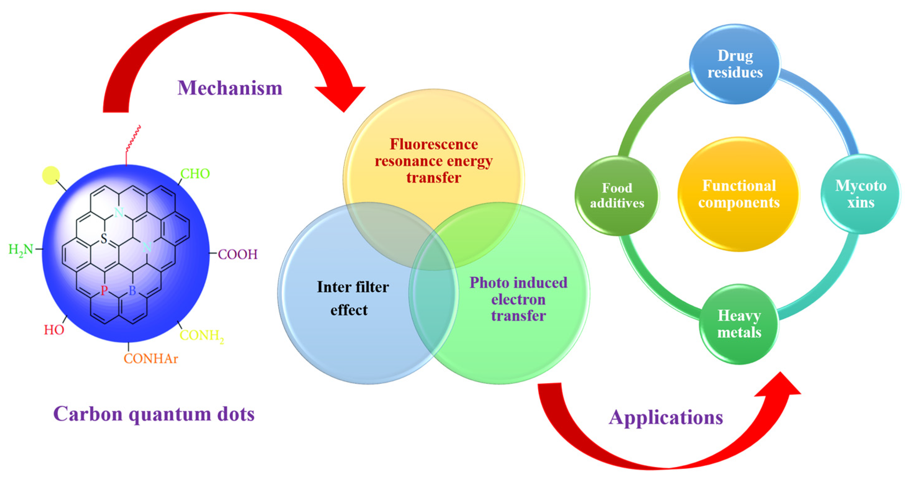Carbon 11 00001 g002