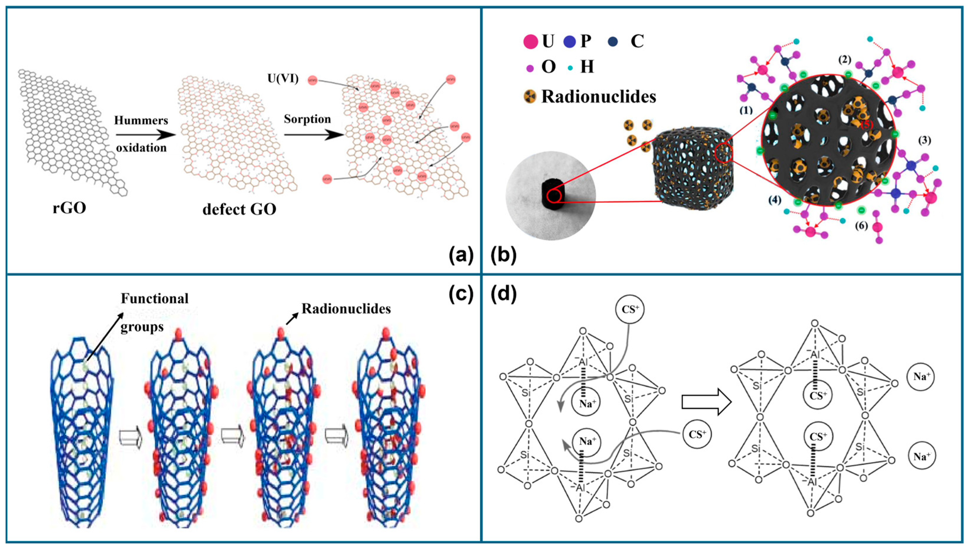 Carbon 11 00028 g001