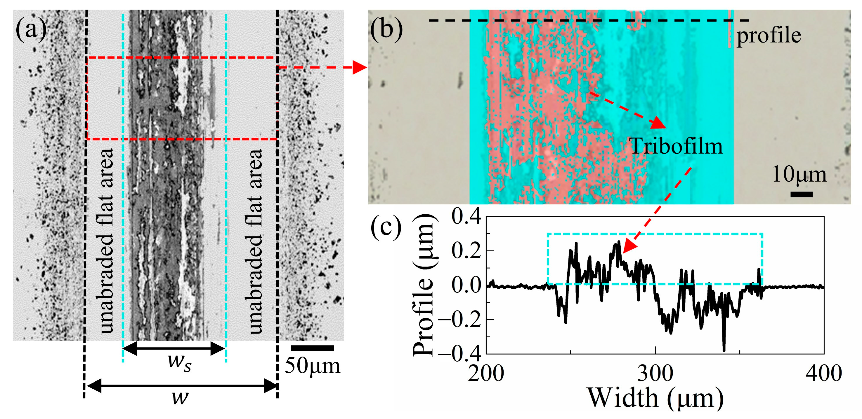 Carbon 11 00072 g004 Carbon 11 00072 g004
