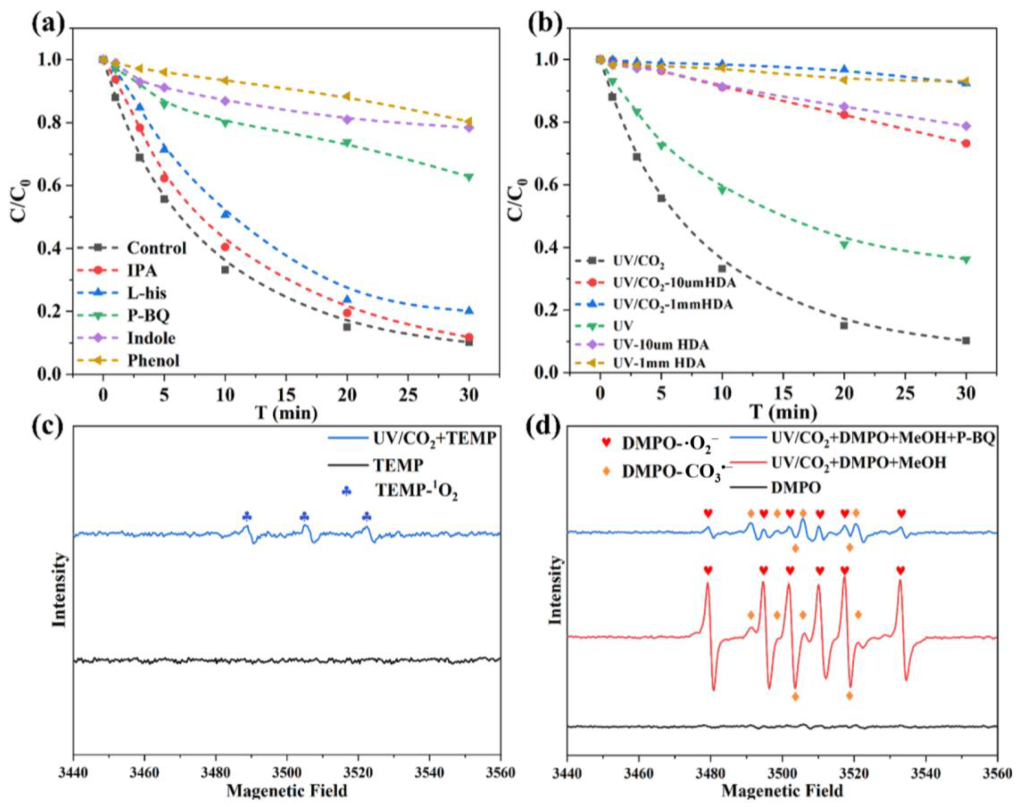 Carbon 11 00075 g006 Carbon 11 00075 g006