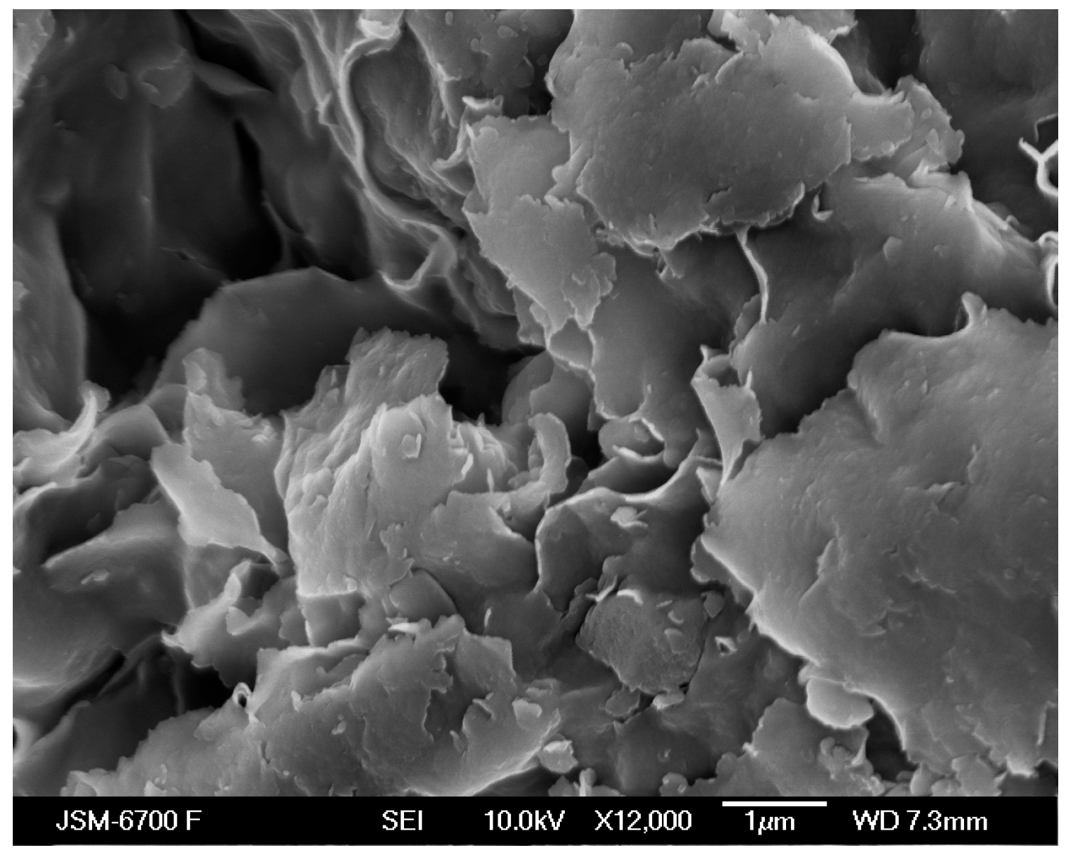 Carbon 11 00077 g002 Carbon 11 00077 g002