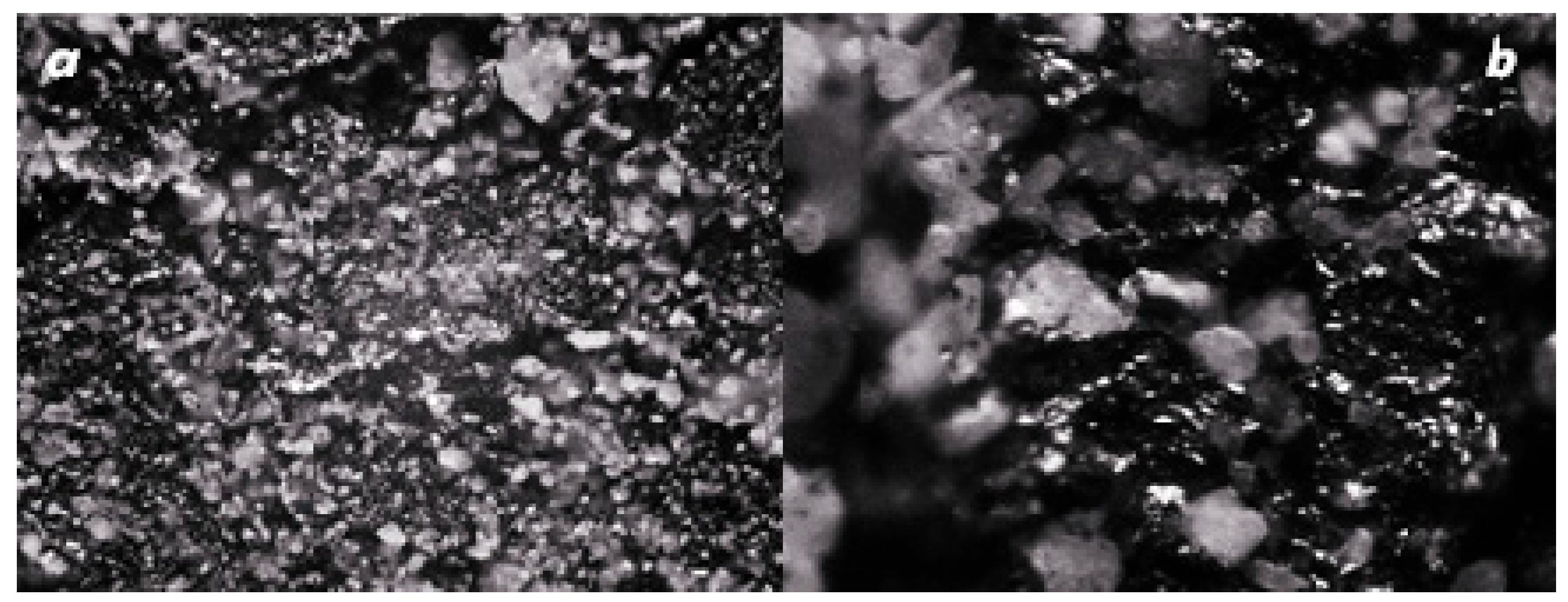 Carbon 11 00077 g005 Carbon 11 00077 g005