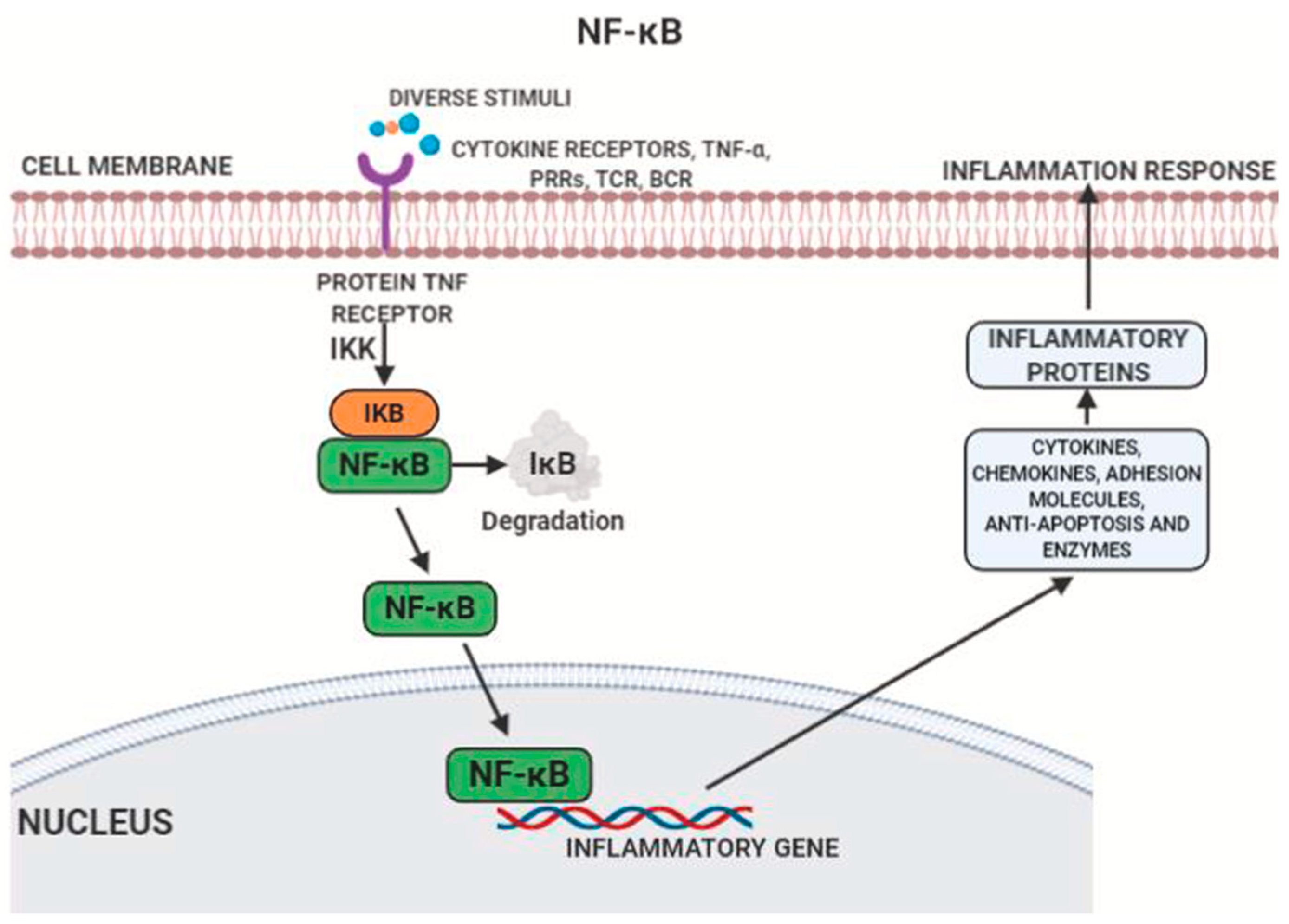 Cardiogenetics 12 00005 g001