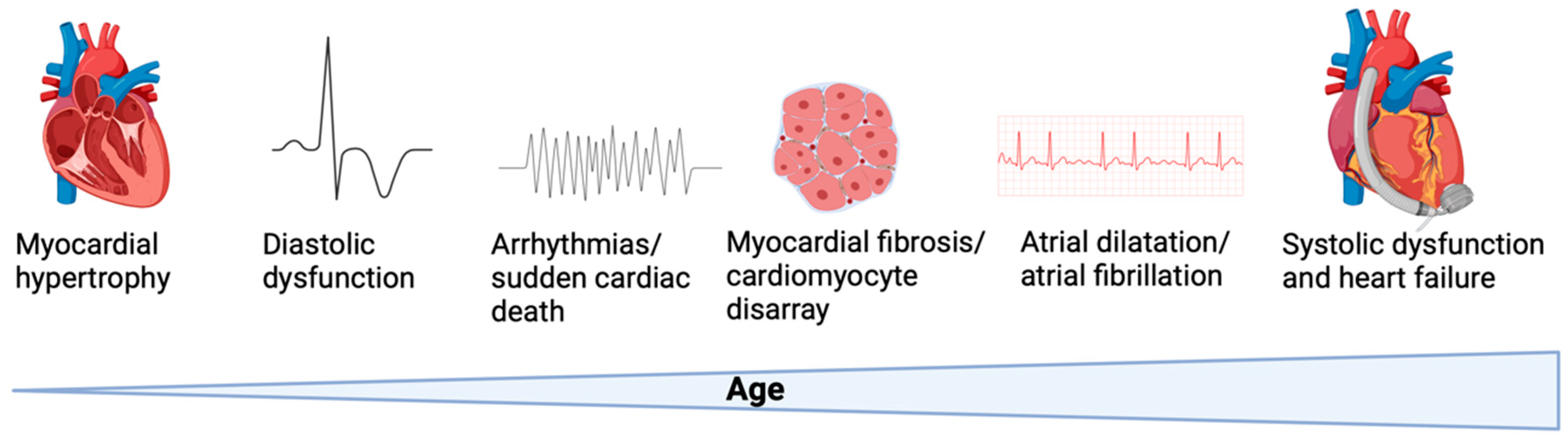 Cardiogenetics 14 00019 g001
