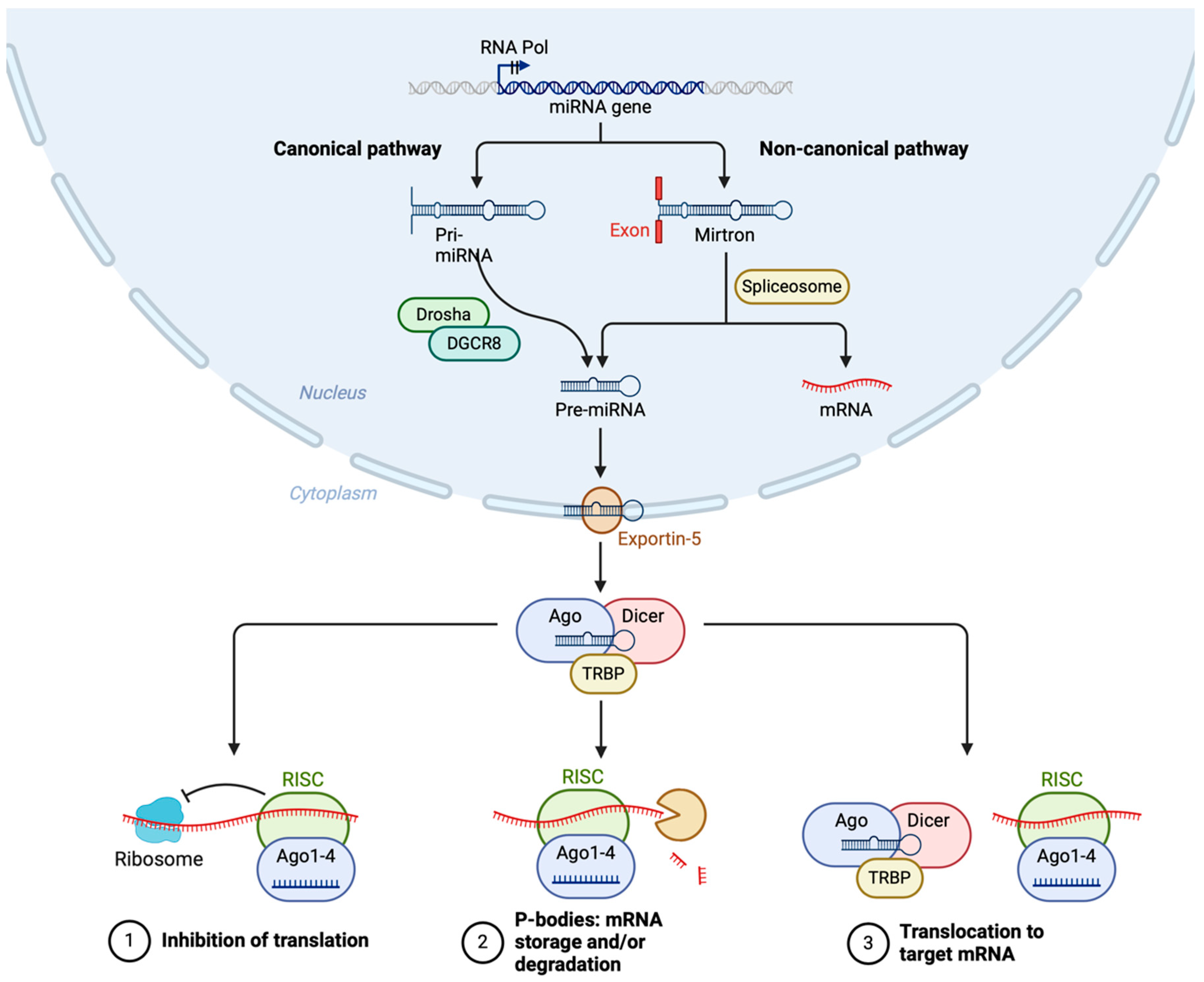 Cardiogenetics 14 00019 g003