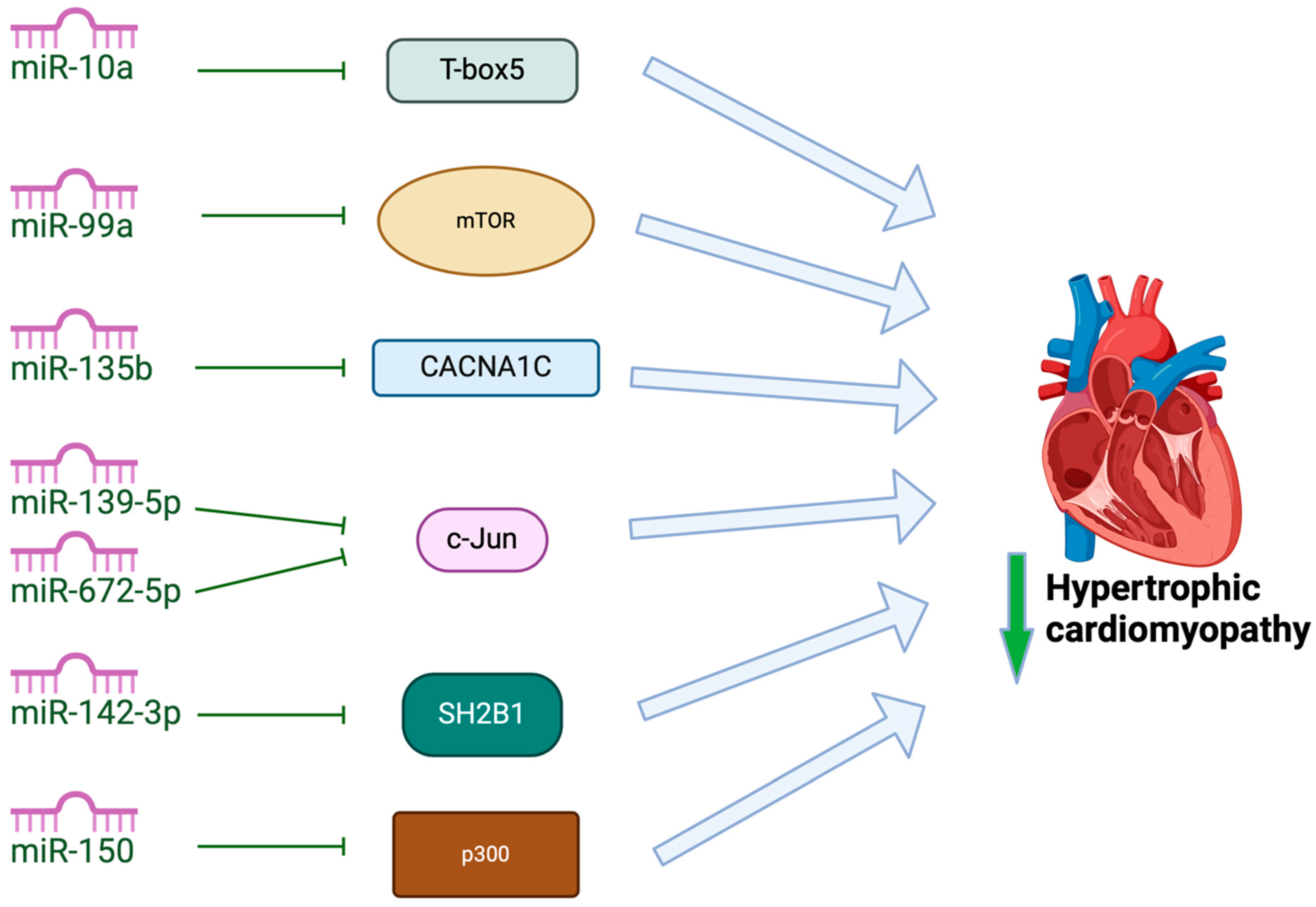 Cardiogenetics 14 00019 g004