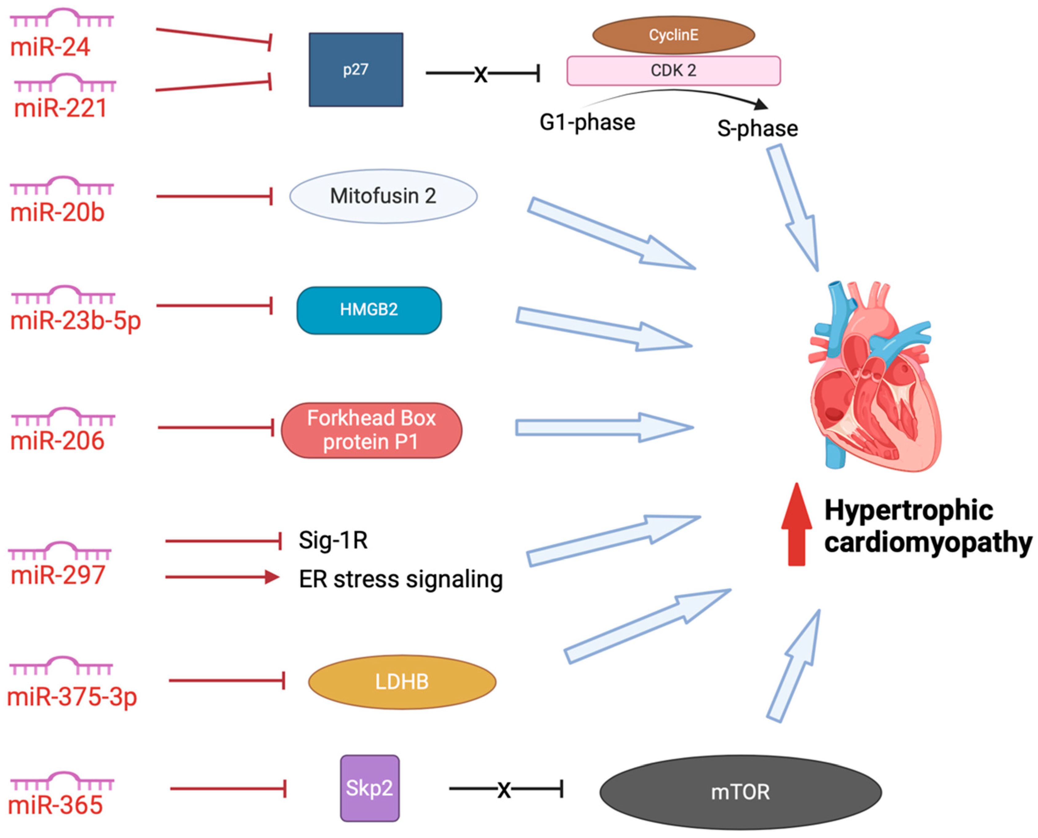 Cardiogenetics 14 00019 g005