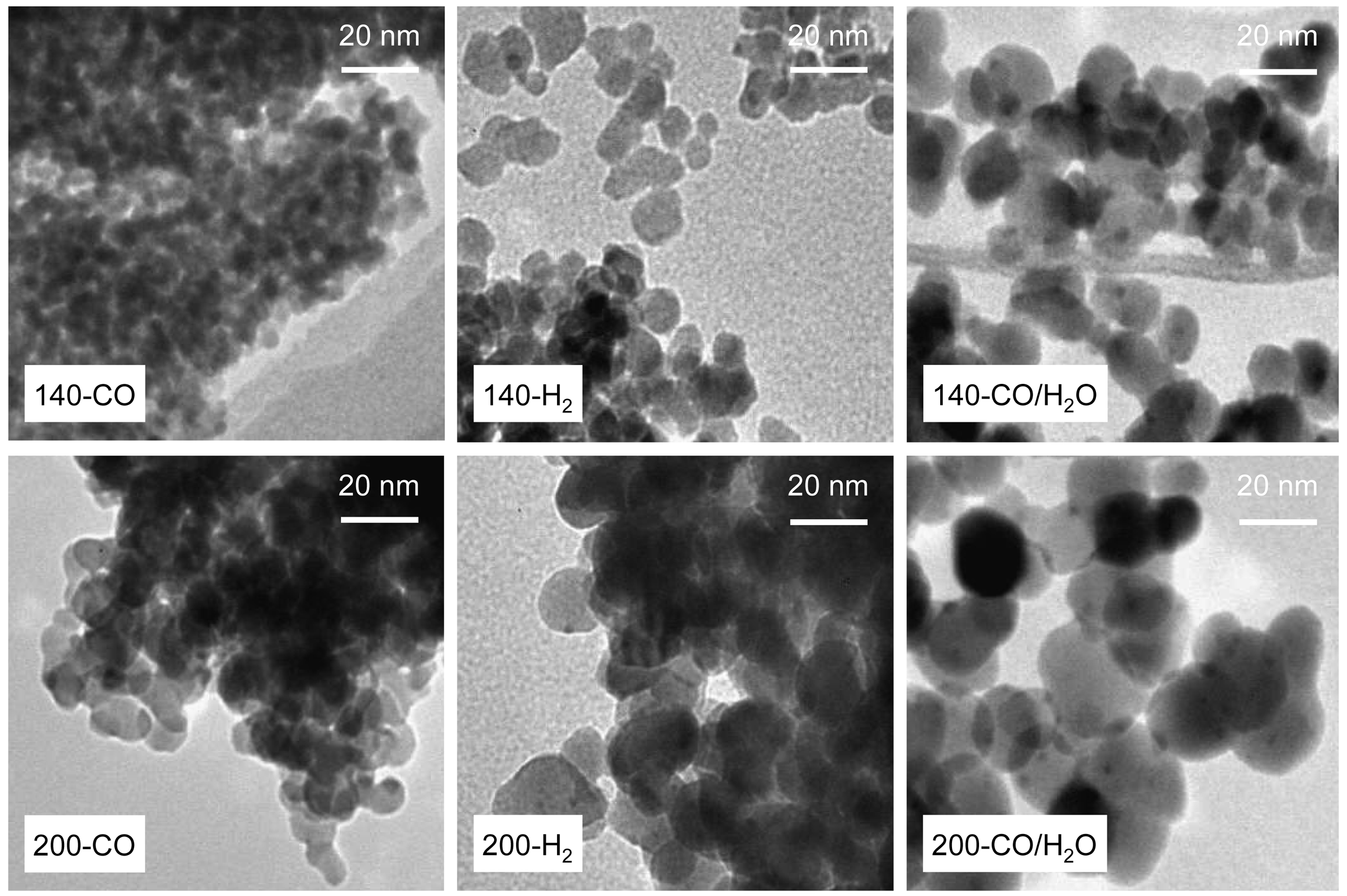 Catalysts 01 00175f5 1024