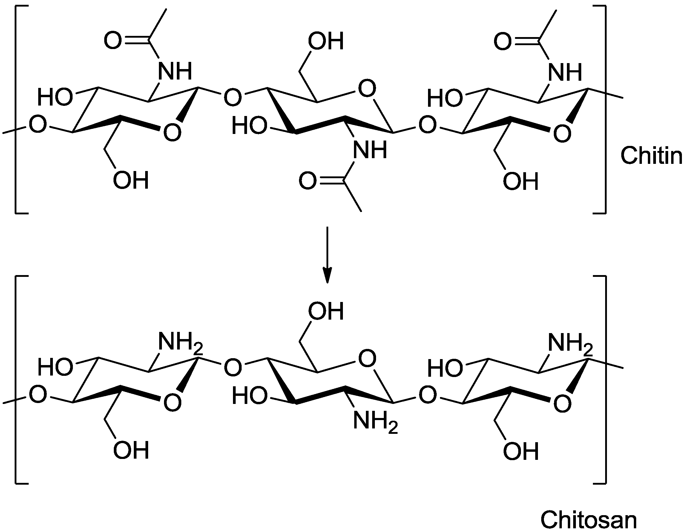 Хитин вальхейм. Структура хитина и хитозана. ХИТИНГЛЮКАНОВЫЙ комплекс формула. Хитин-глюкановый комплекс формула. Деацетилирование хитина.