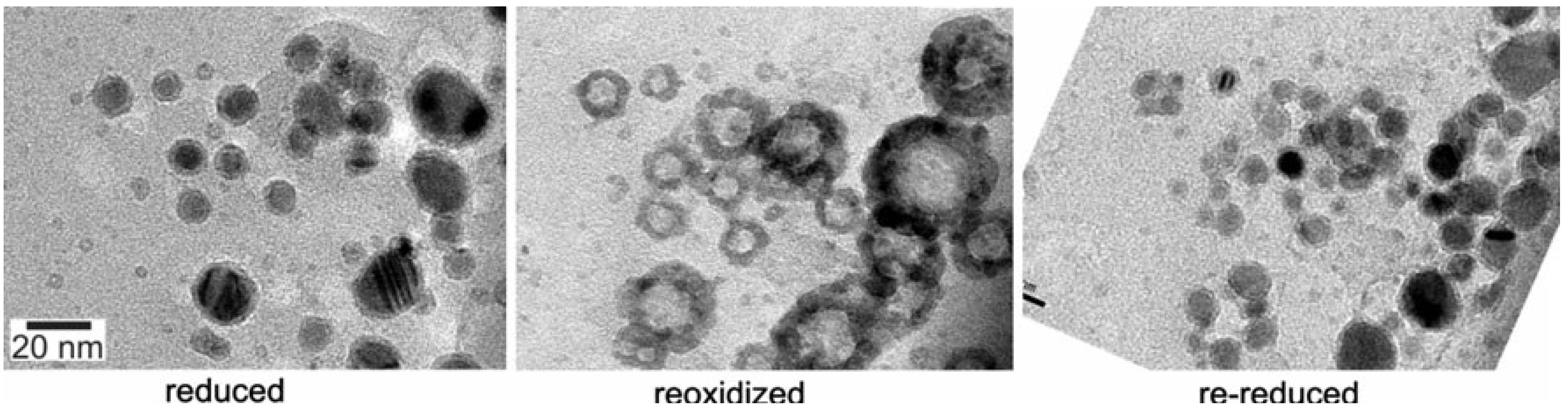 Catalysts 05 00145 g048