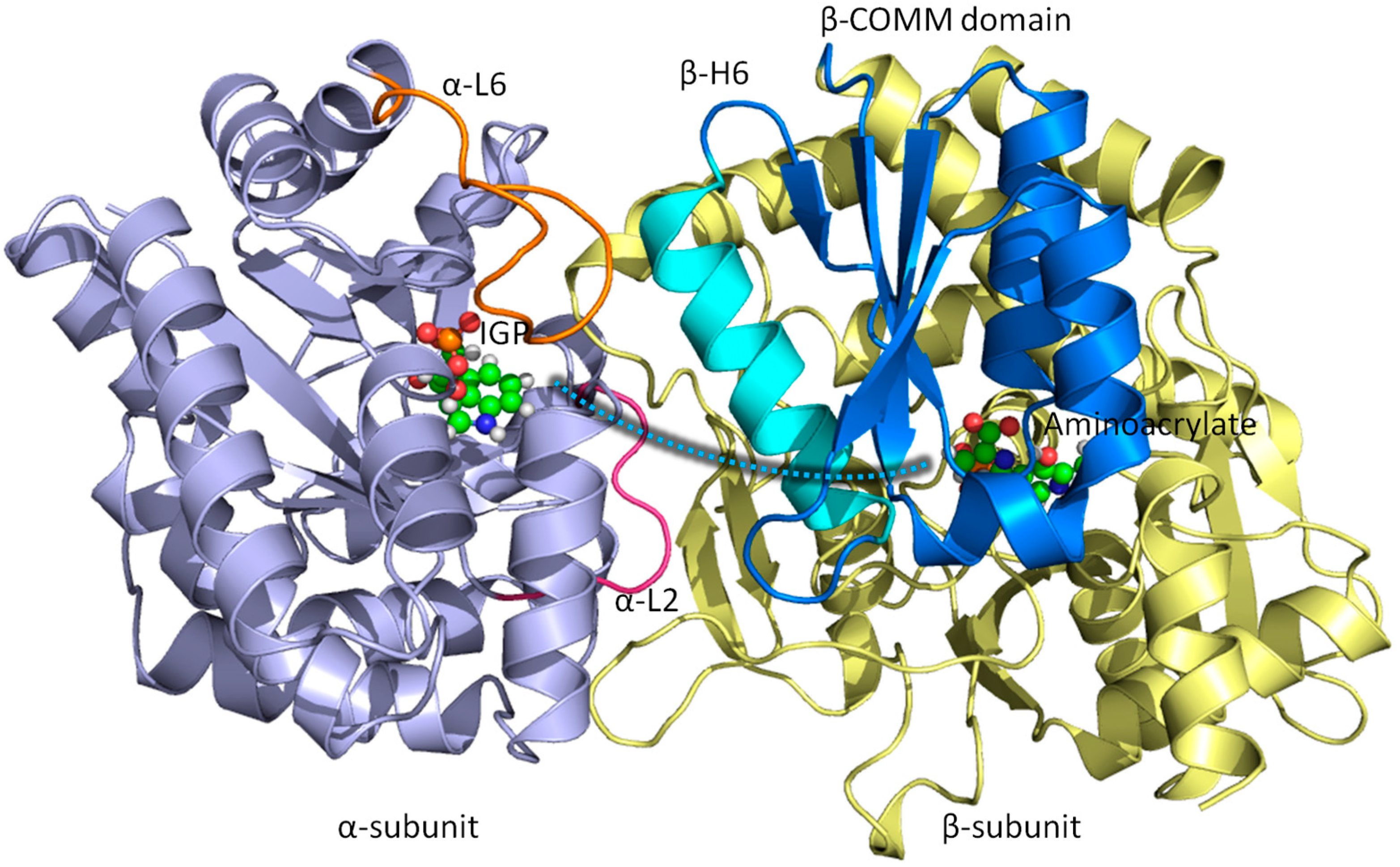 Catalysts 06 00082 g001