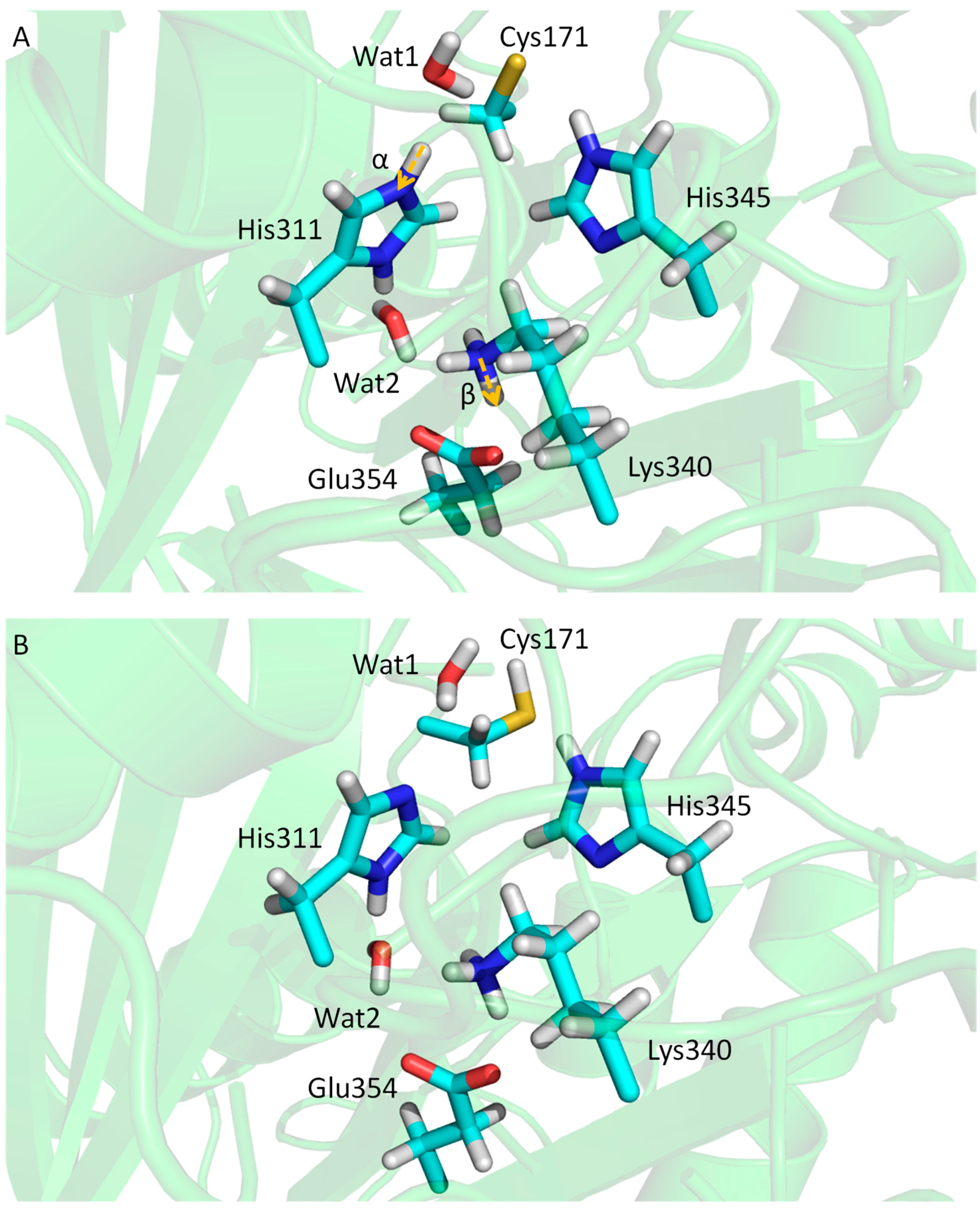 Catalysts 06 00082 g013