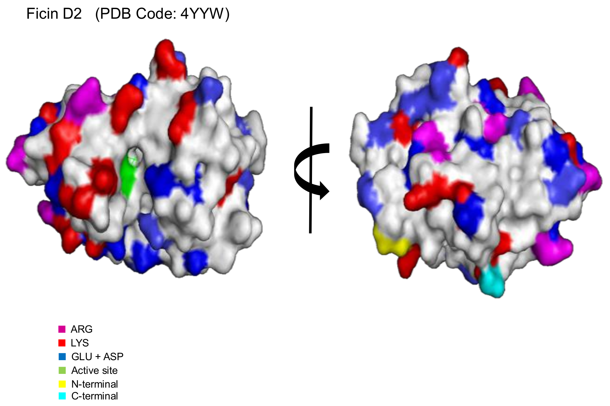 Catalysts 08 00149 g005