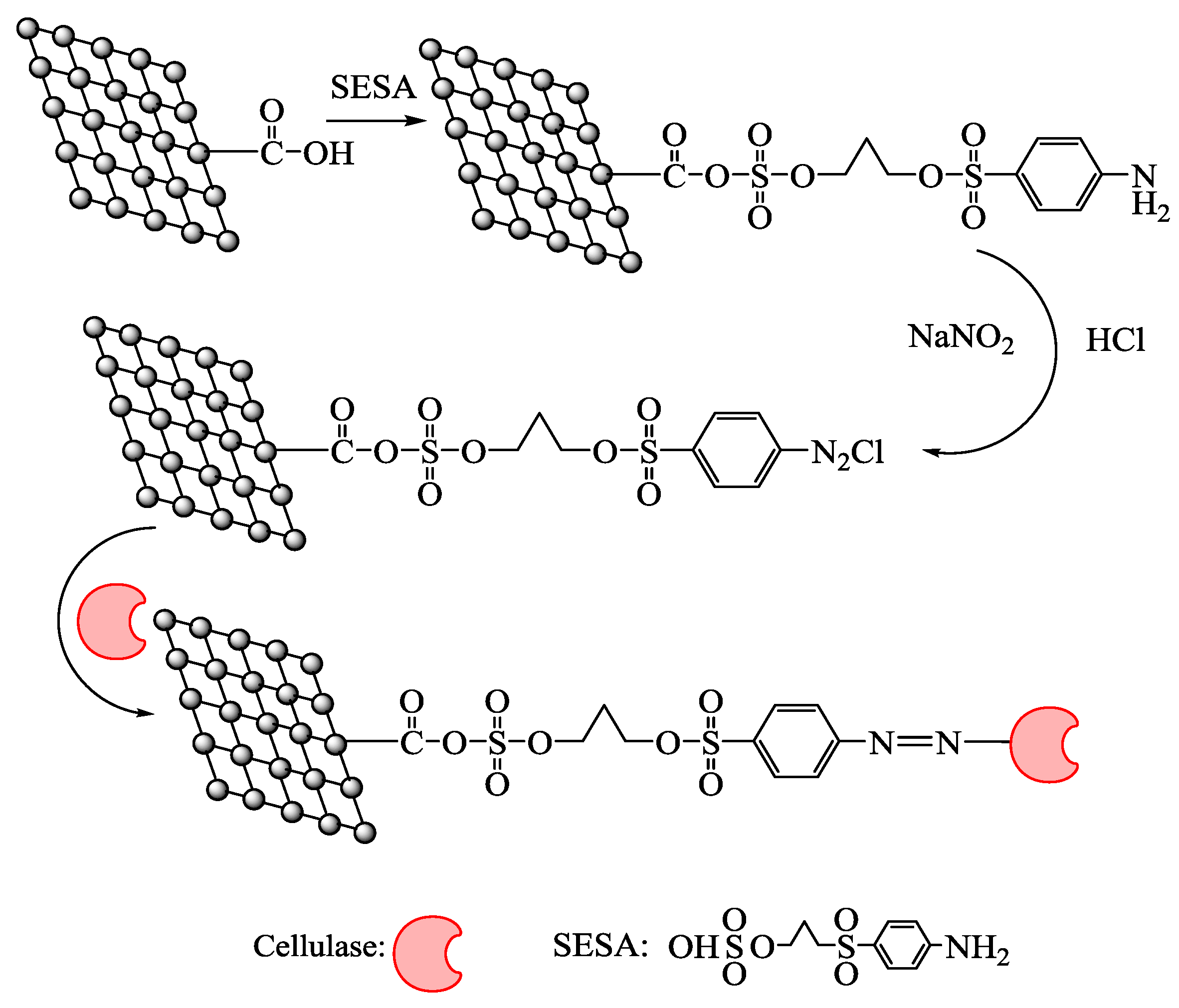 Catalysts 08 00180 sch001