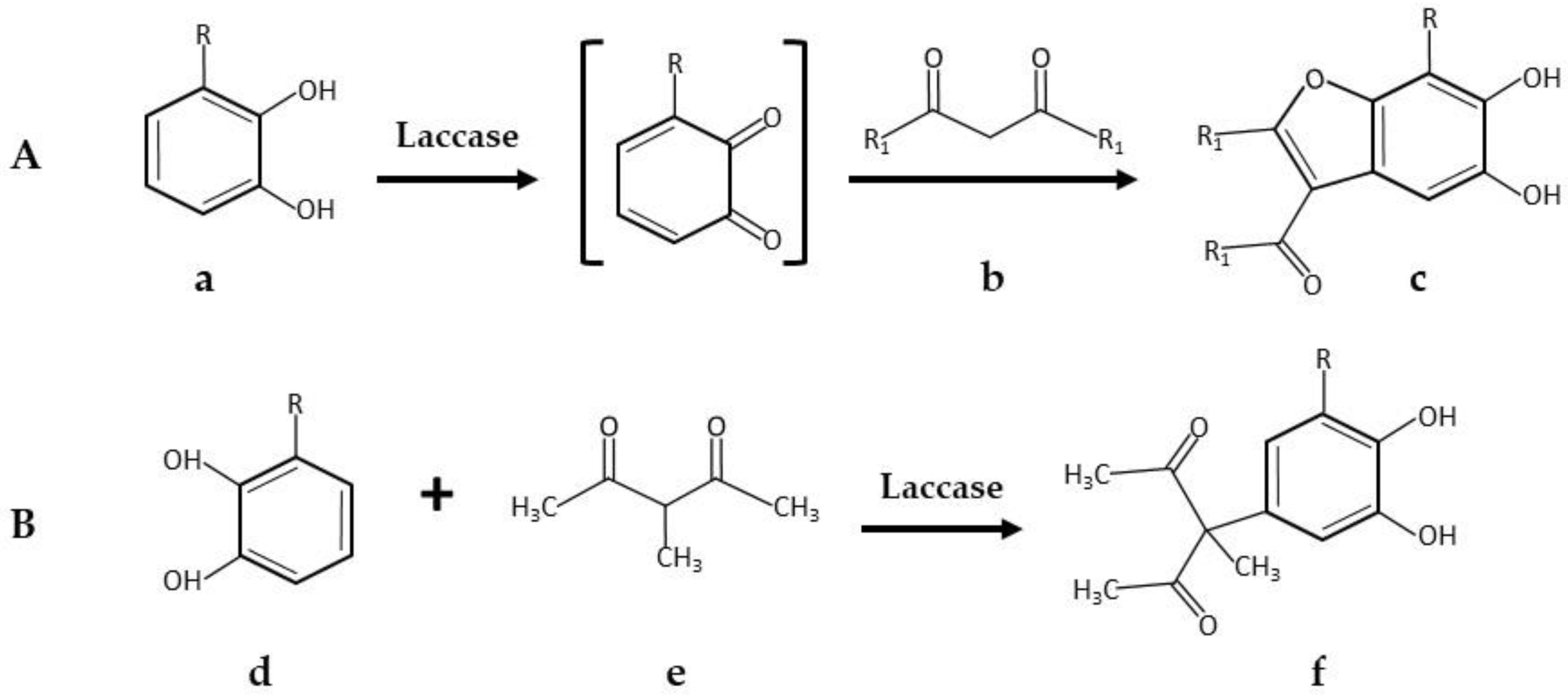 Catalysts 08 00223 g004
