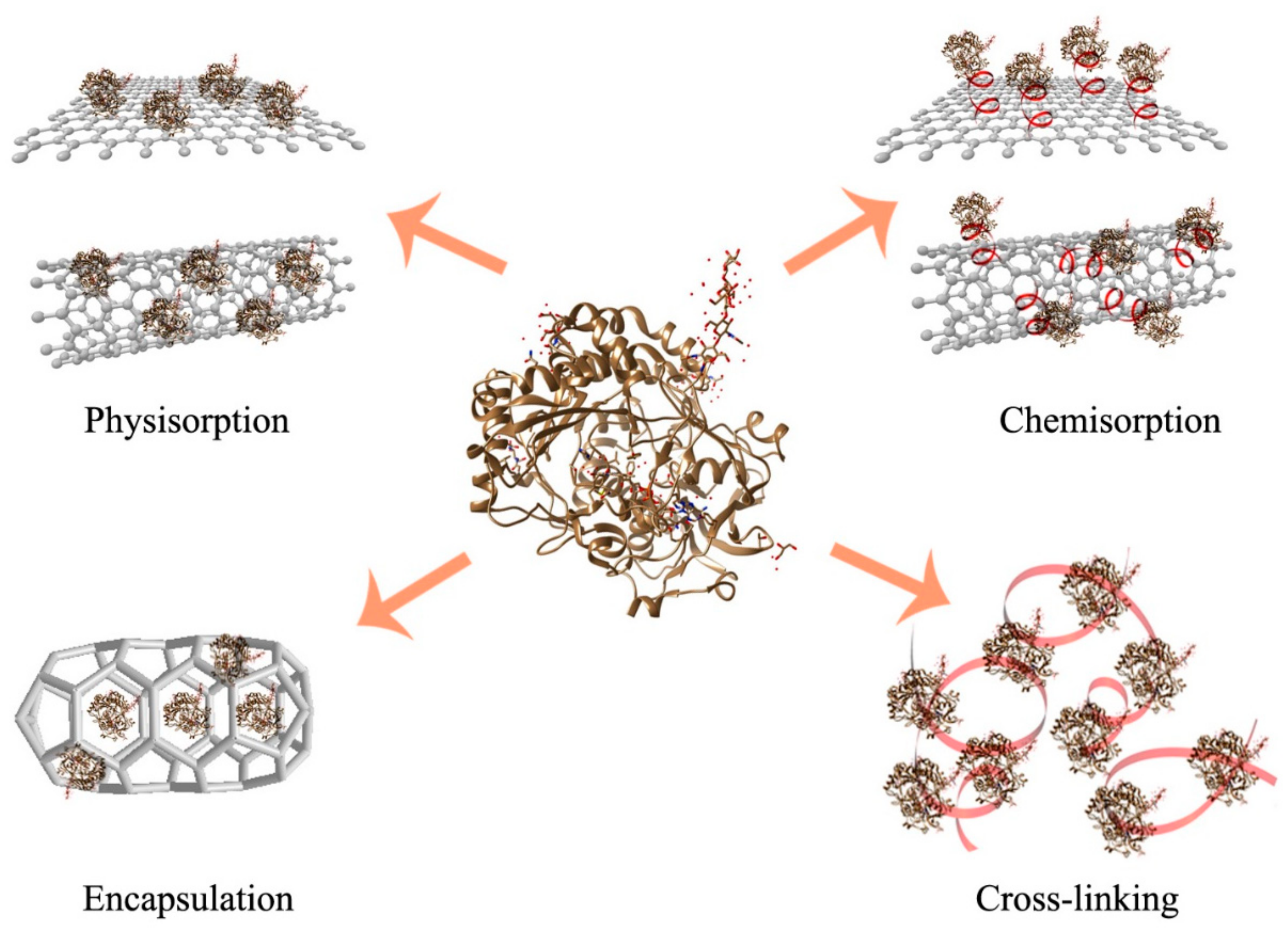 https://www.mdpi.com/catalysts/catalysts-08-00238/article_deploy/html/images/catalysts-08-00238-g002.png