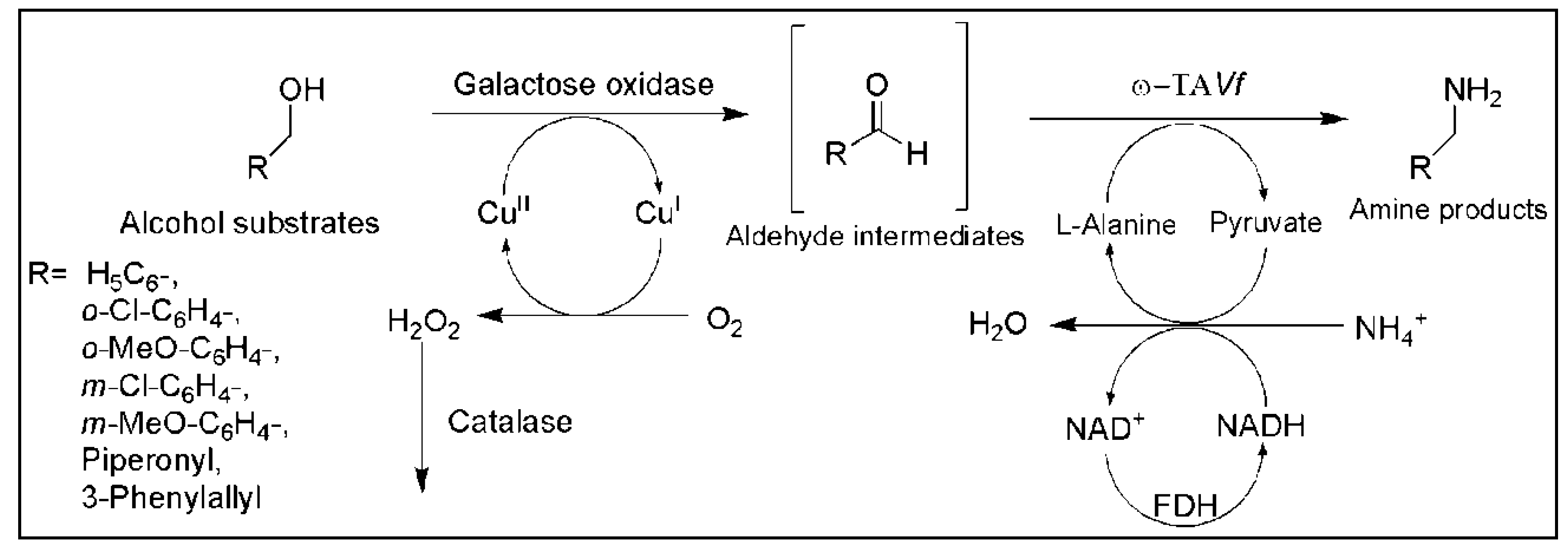 Catalysts 08 00254 g006