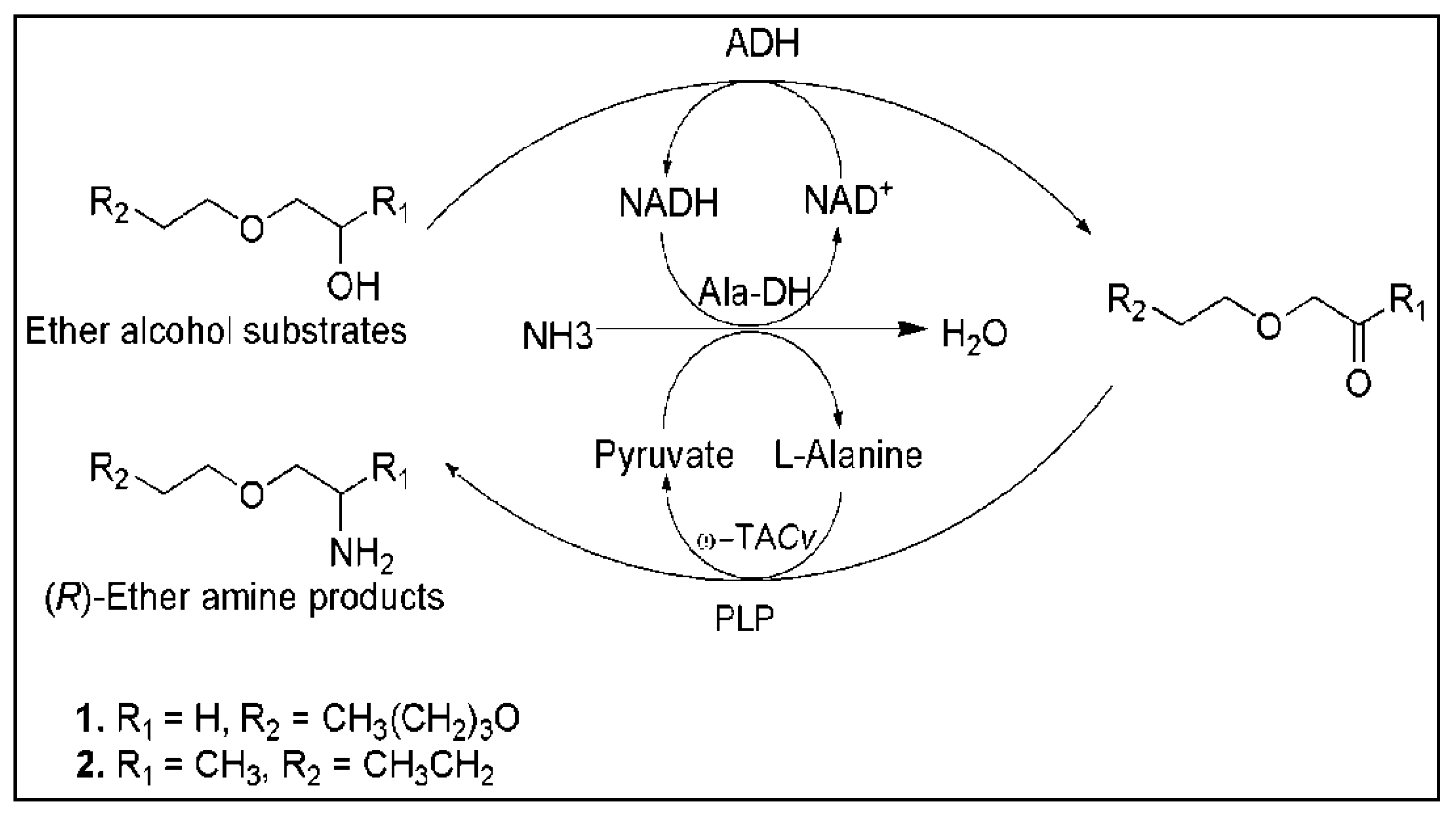 Catalysts 08 00254 g007