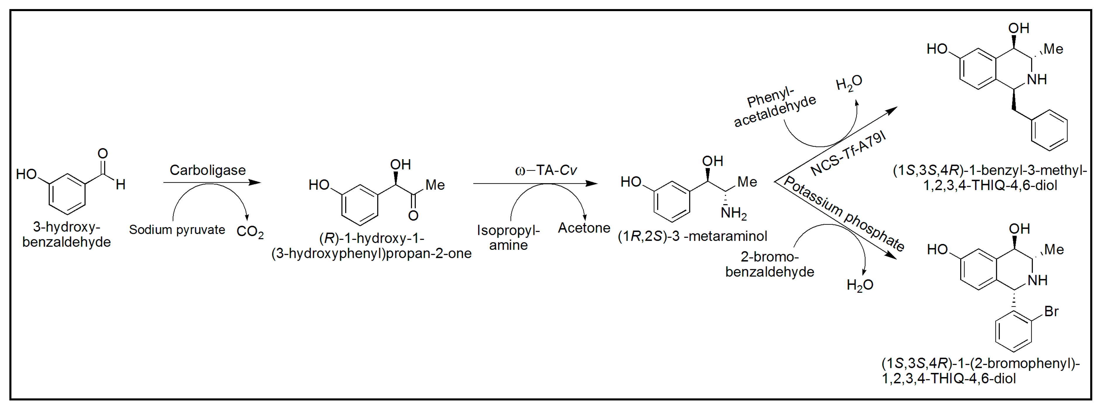 Catalysts 08 00254 g009