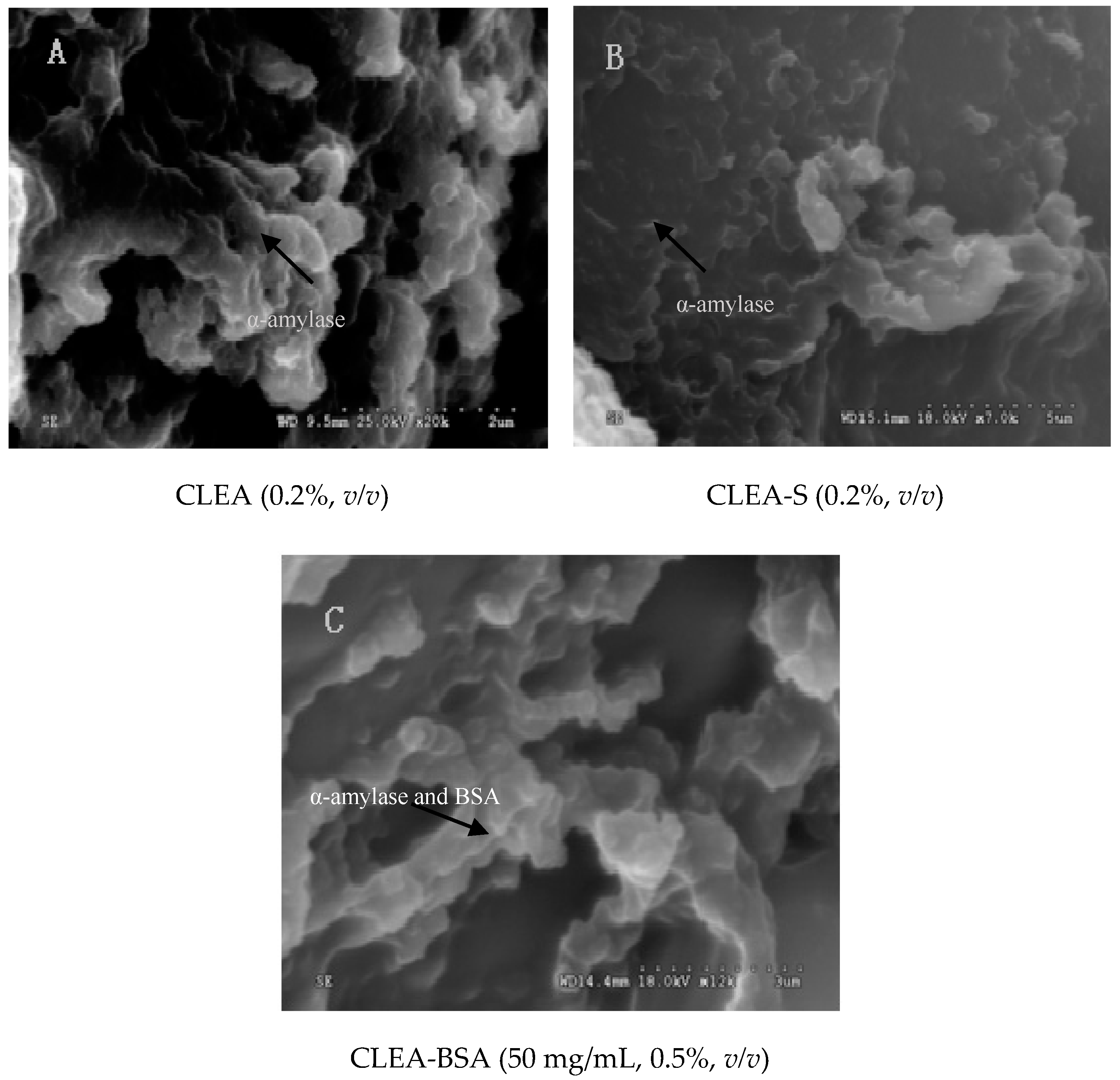 Catalysts 08 00299 g006