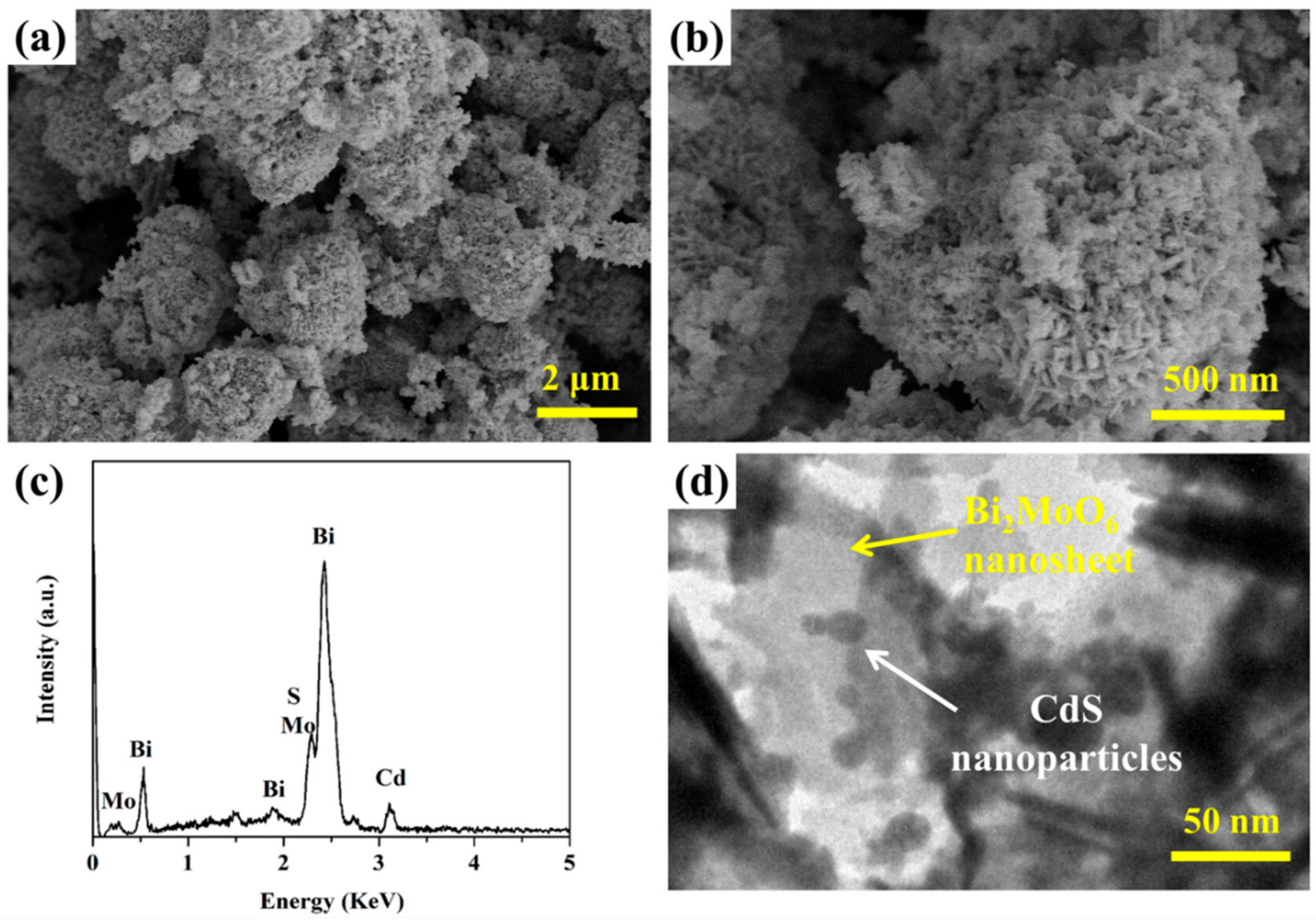 Catalysts 08 00477 g002