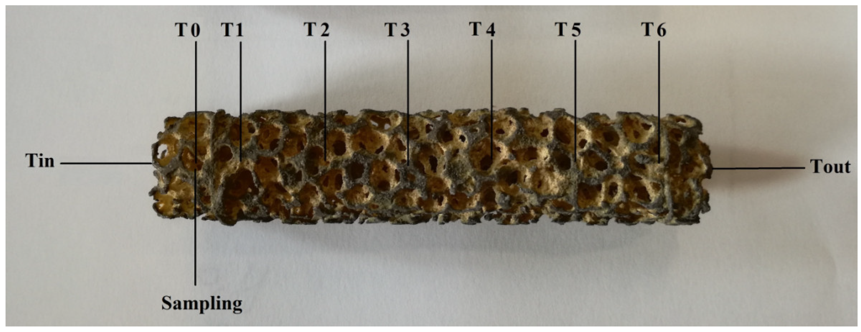 Catalysts 08 00489 g004