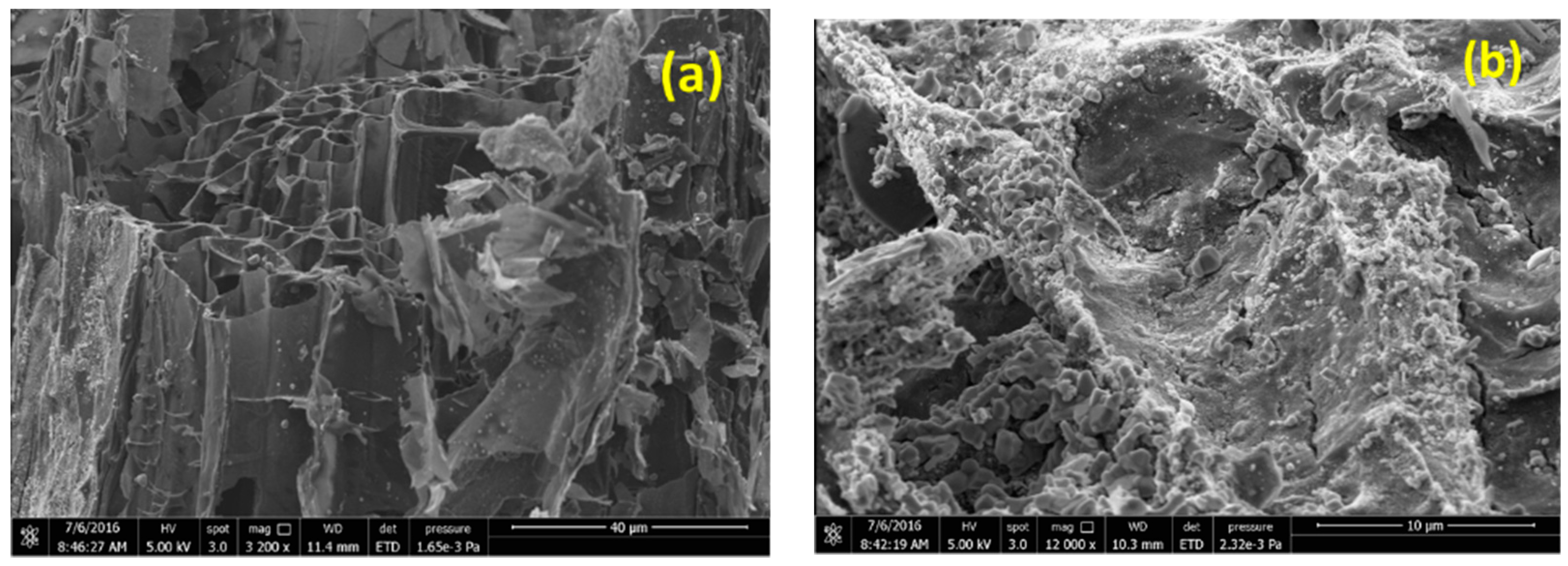 Catalysts 08 00562 g002