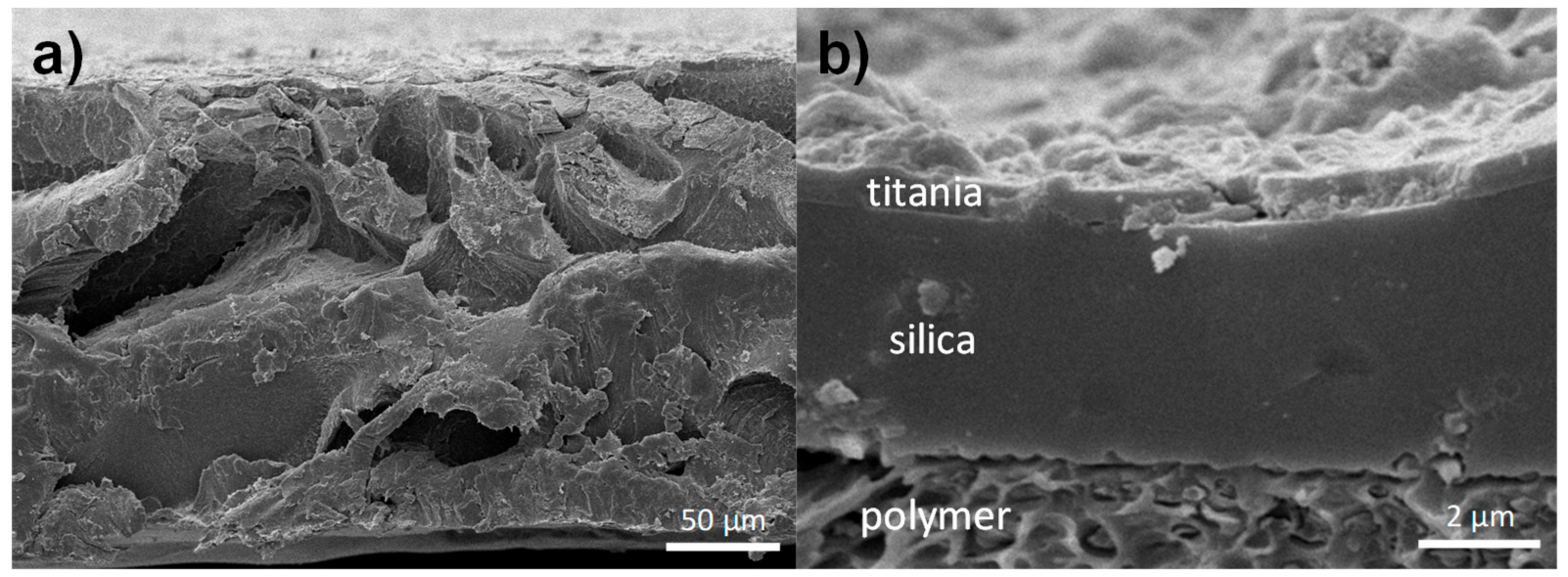 Catalysts 08 00568 g003