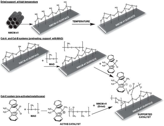 Catalysts Free Full Text Functionalized Ordered Mesoporous Silicas Mcm 41 Synthesis And Applications In Catalysis Html