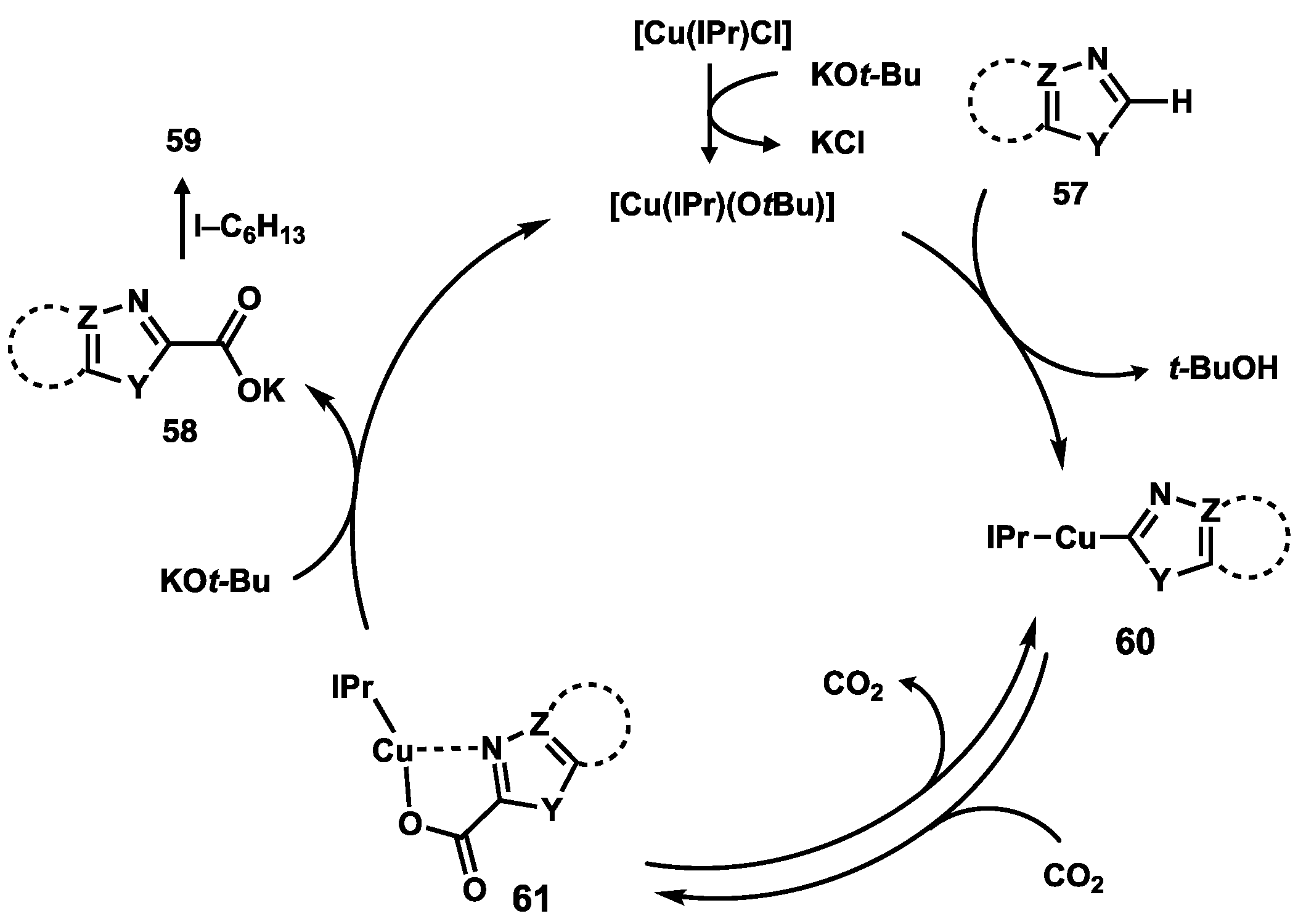 Catalysts 08 00620 sch017