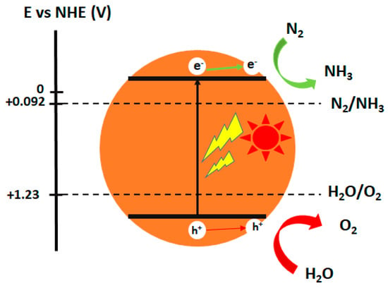 Catalysts Free Full Text Insights Into The Recent Progress And Advanced Materials For Photocatalytic Nitrogen Fixation For Ammonia Nh3 Production Html