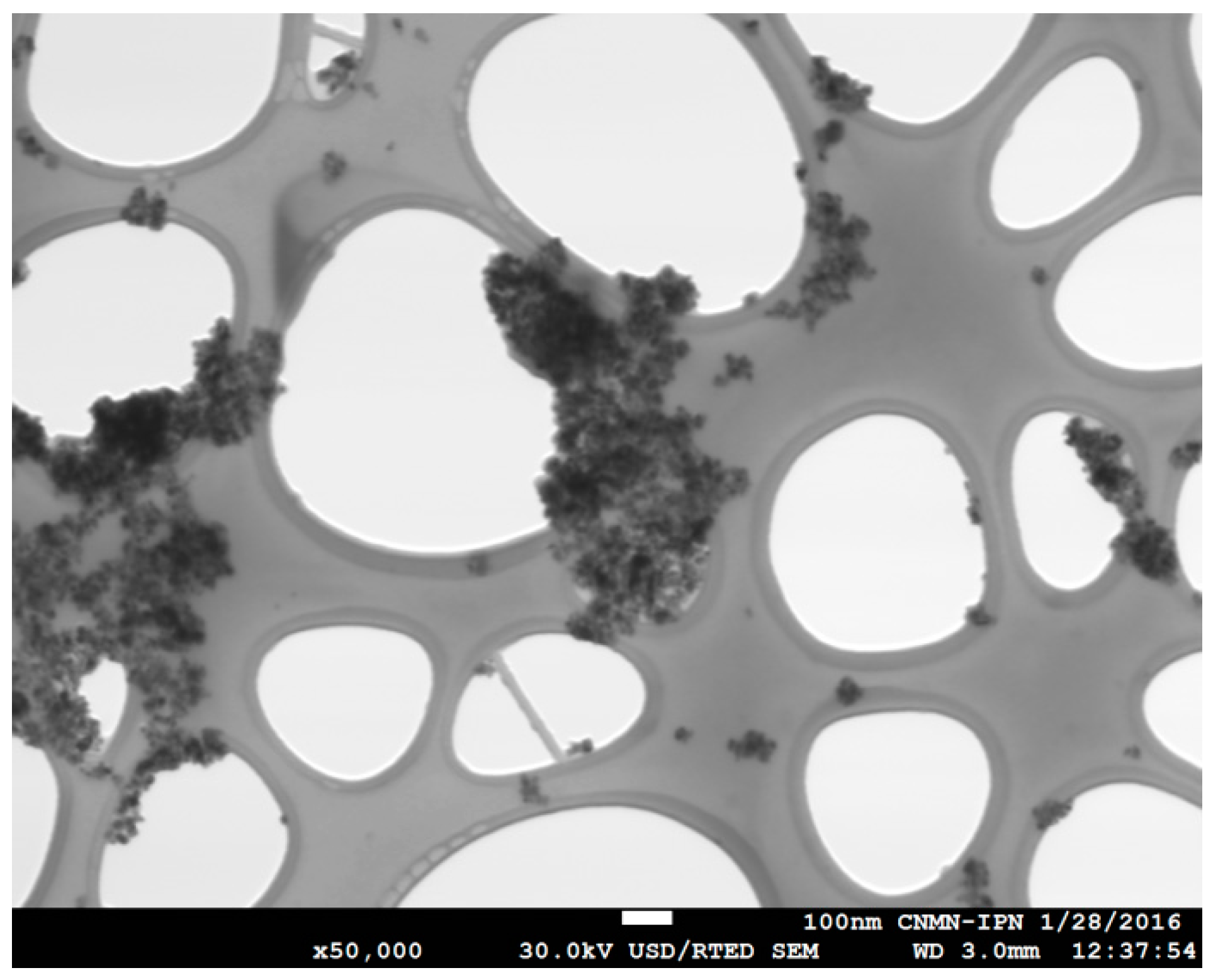 Catalysts 08 00625 g007 Catalysts 08 00625 g007