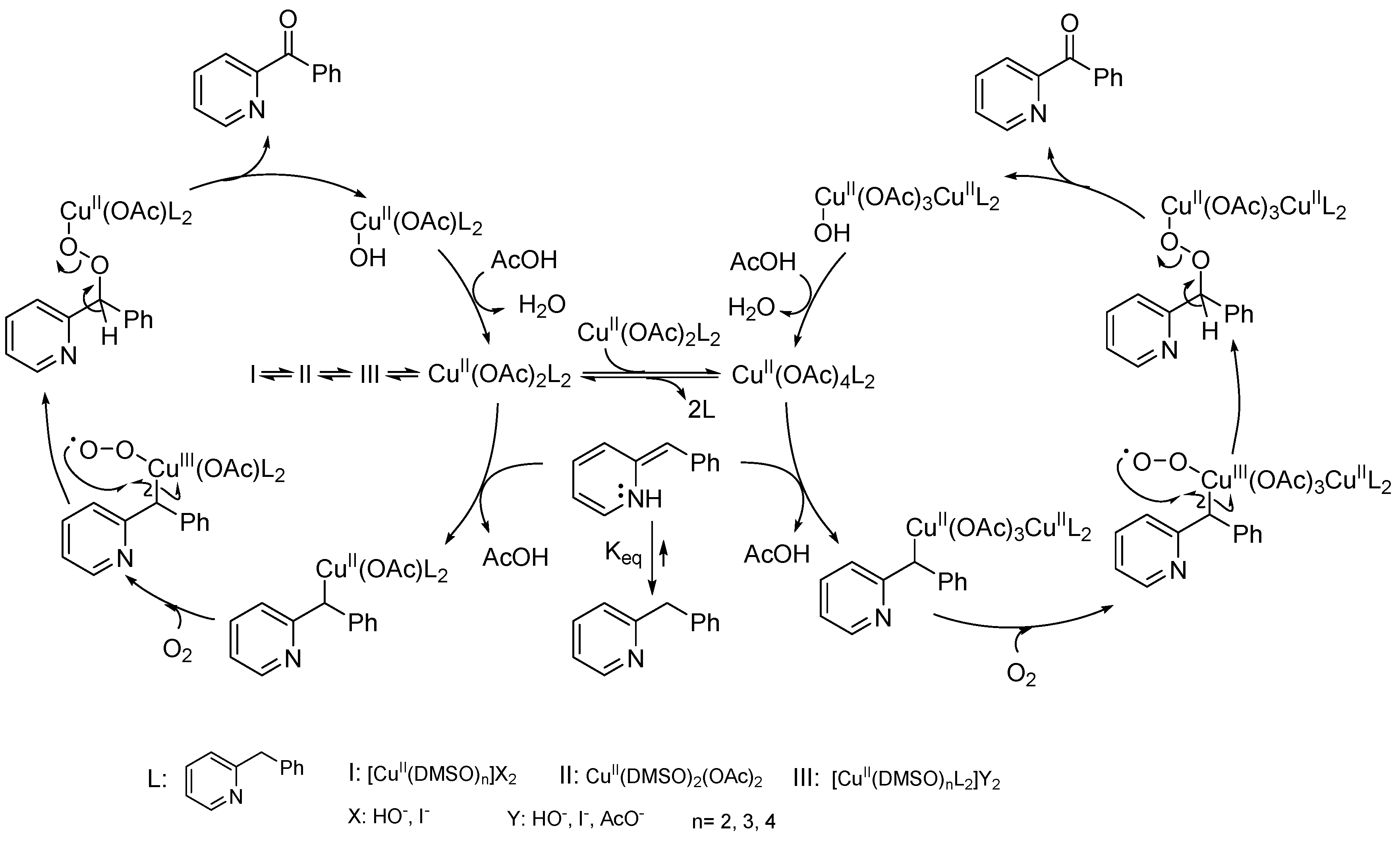 Philadelphia F Rbung Rebellion Phi Oac Oxidation Mechanism Vor Natura