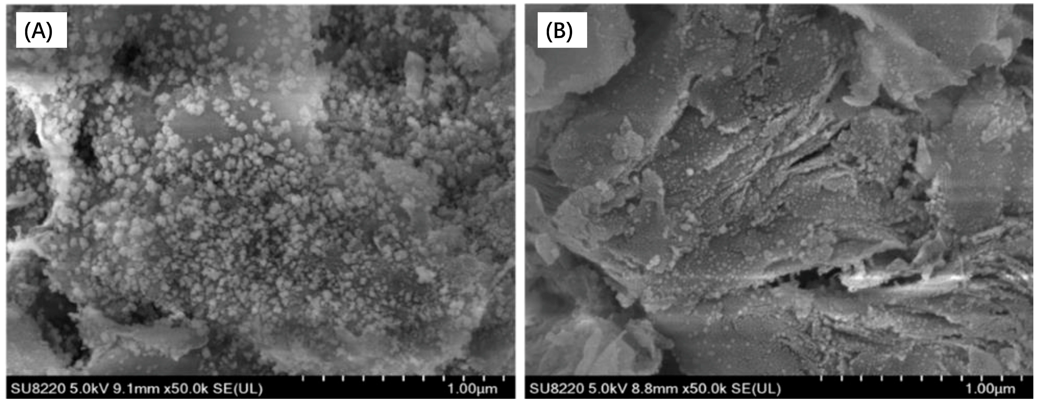 Catalysts 08 00646 g011