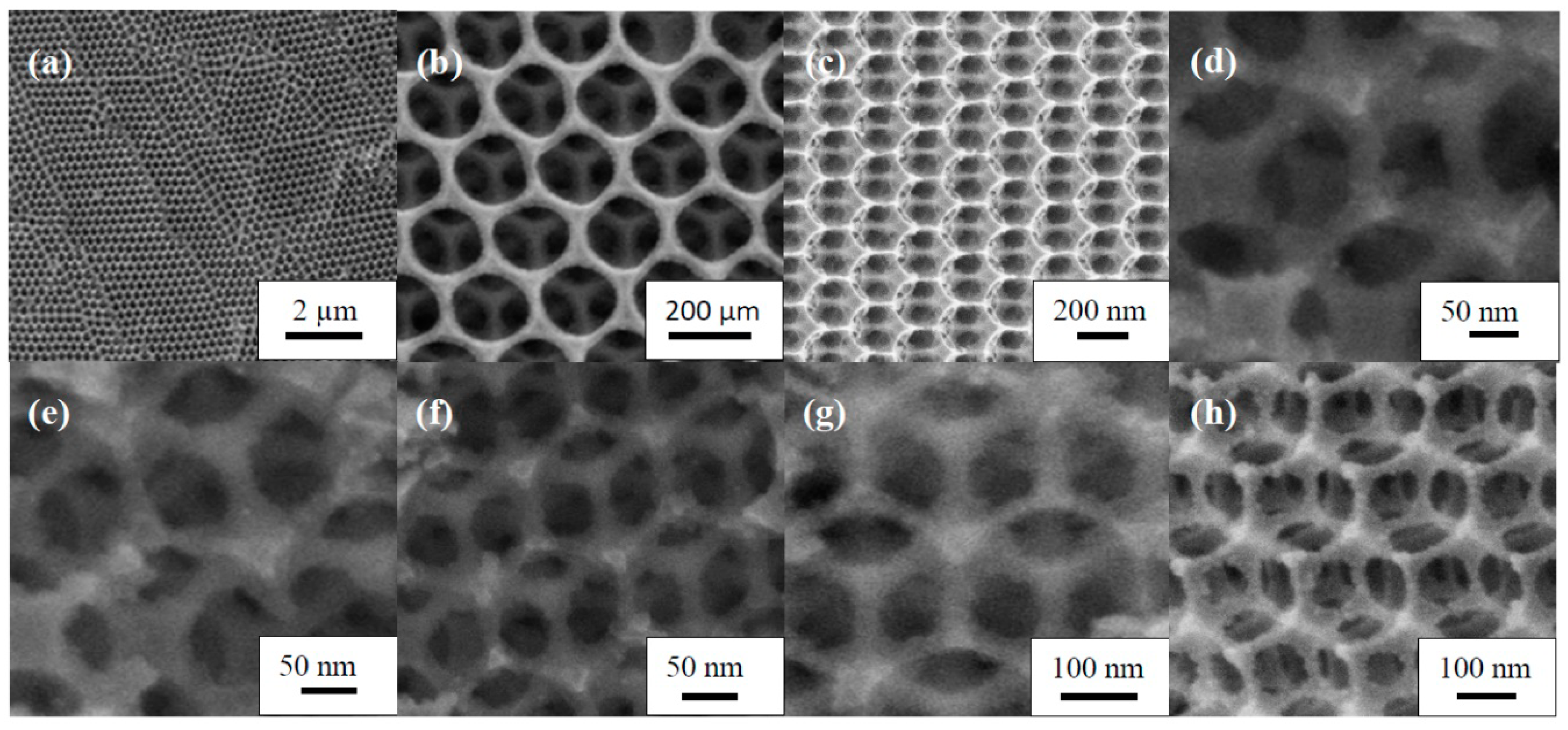 Catalysts 08 00666 g002
