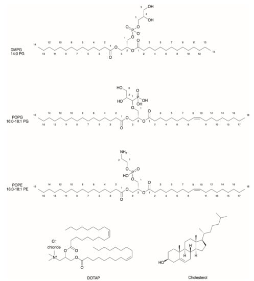 Catalysts | Free Full-Text | Light-Driven Biocatalysis in Liposomes and ...