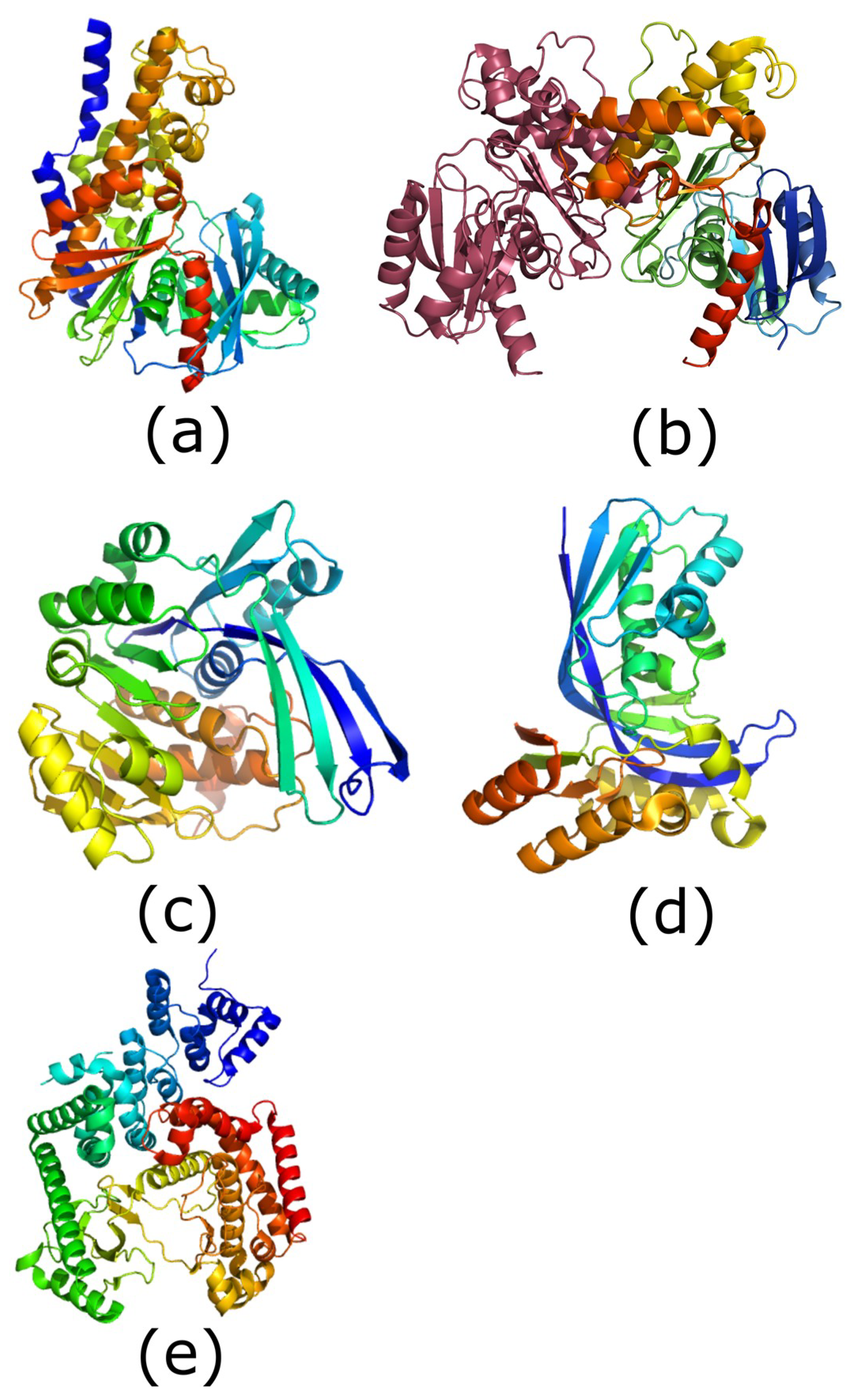 Catalysts Free Full Text Carbohydrate Kinases A Conserved Mechanism Across Differing Folds Html