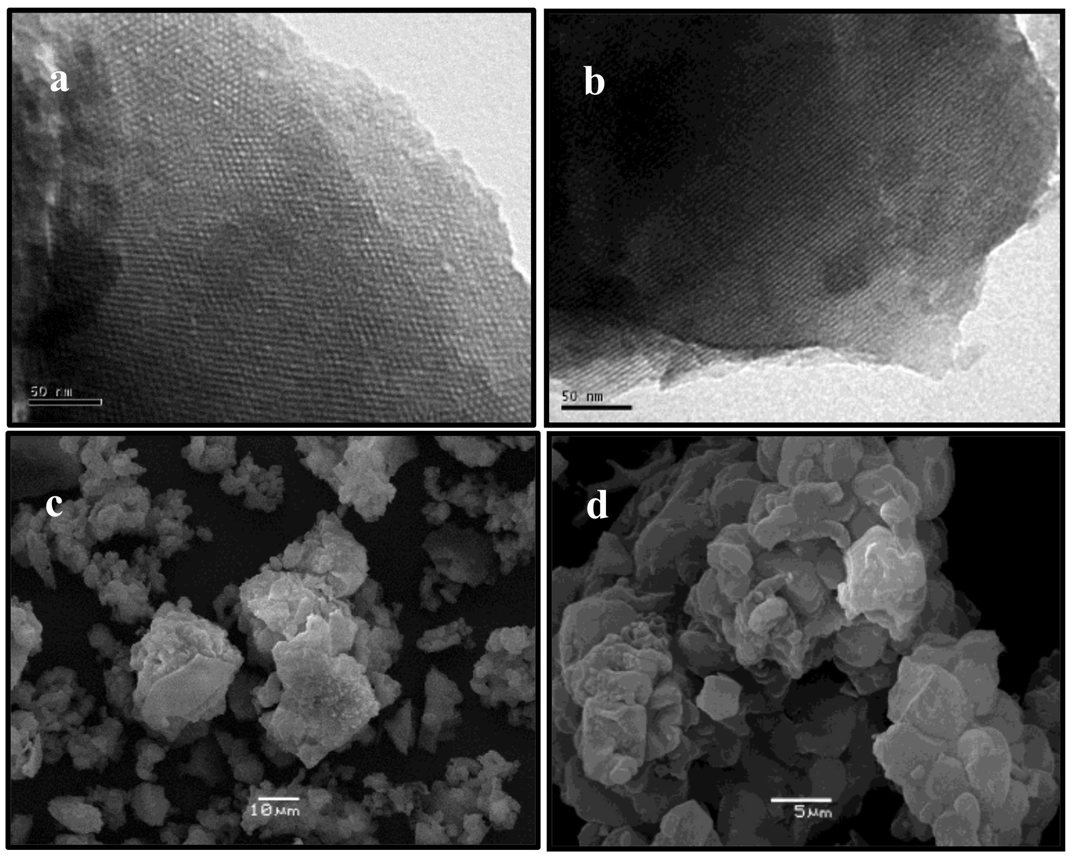 Catalysts 09 00136 g002
