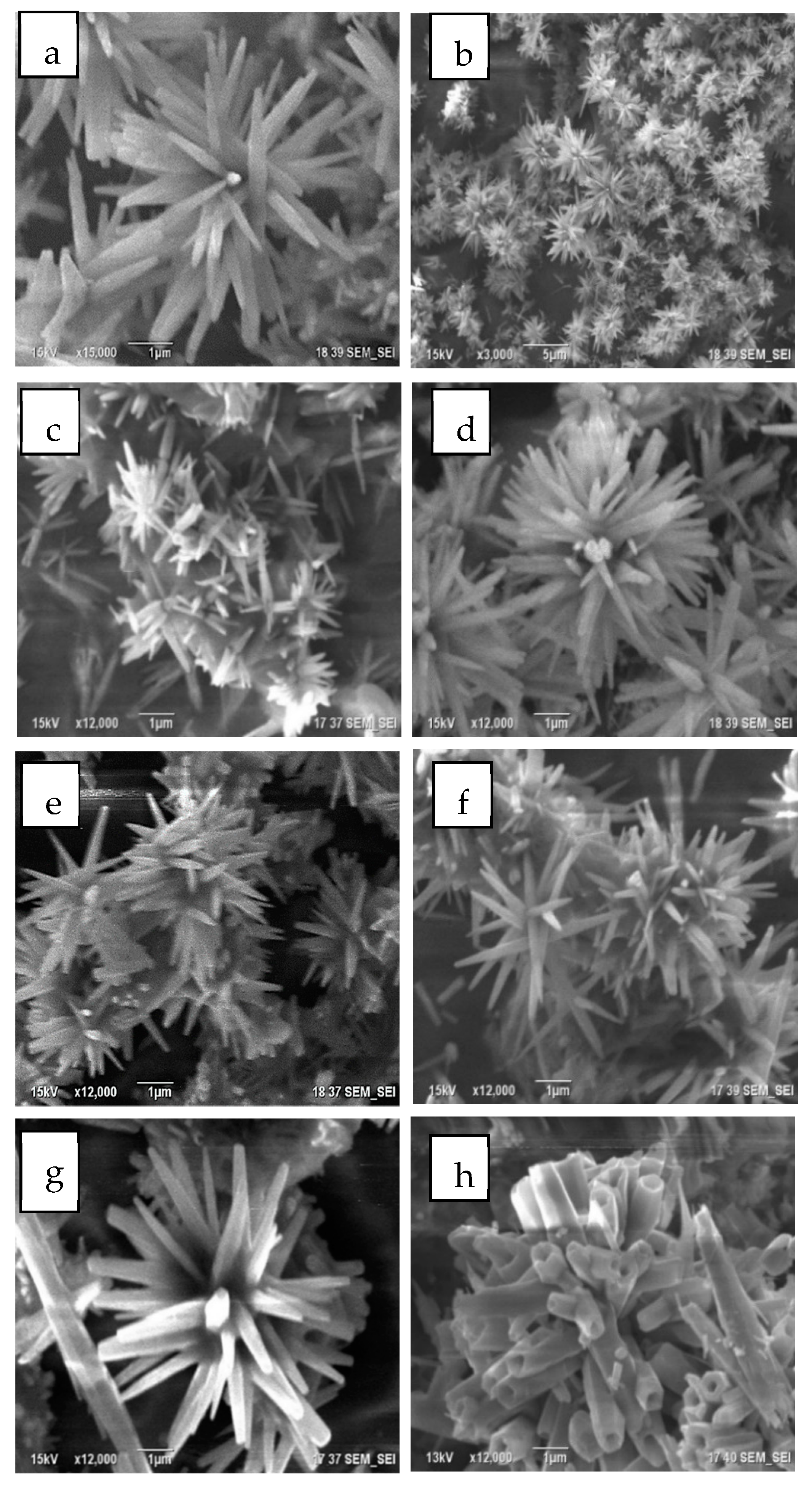 Catalysts 09 00165 g002